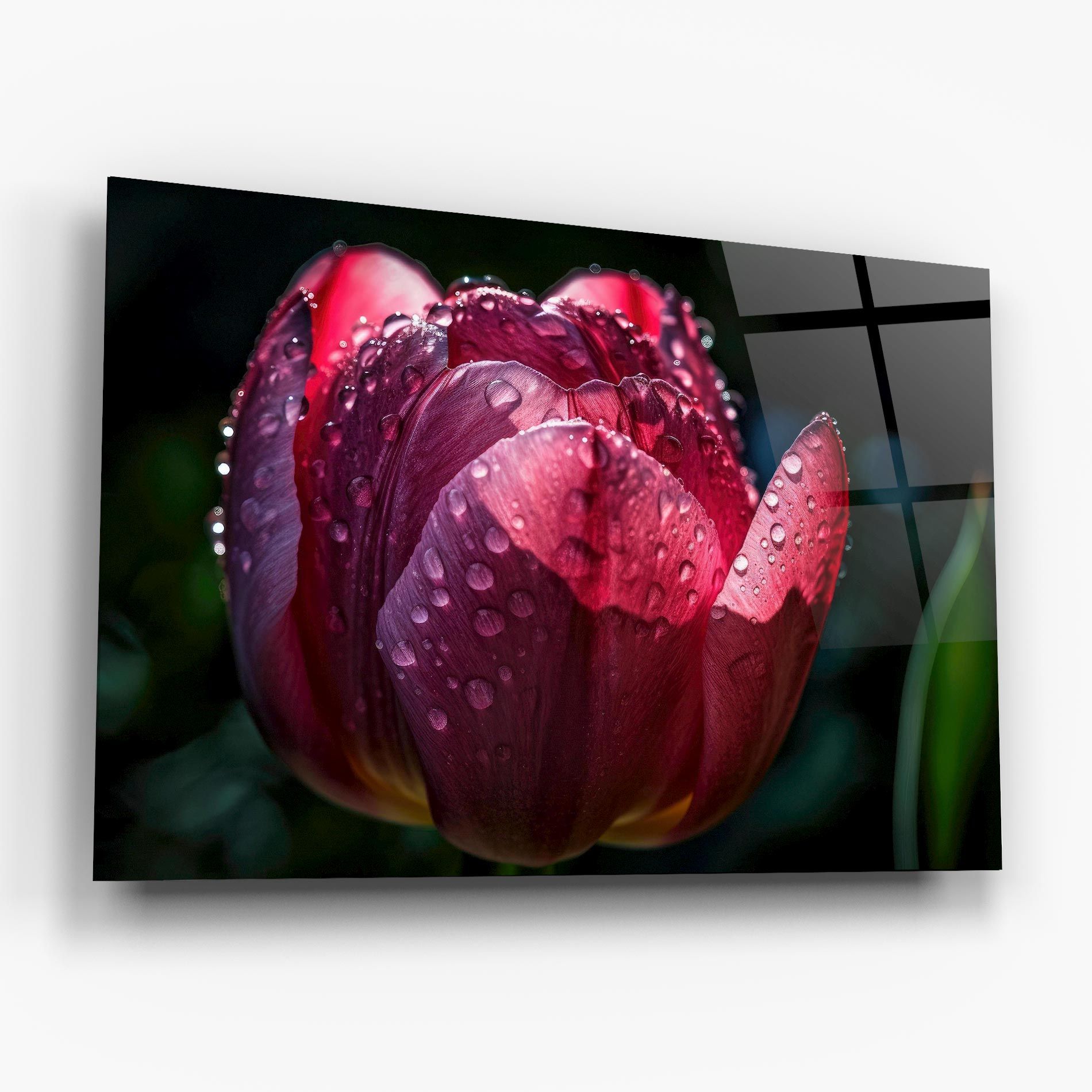 Pink Tulip After Rain mockup 6
