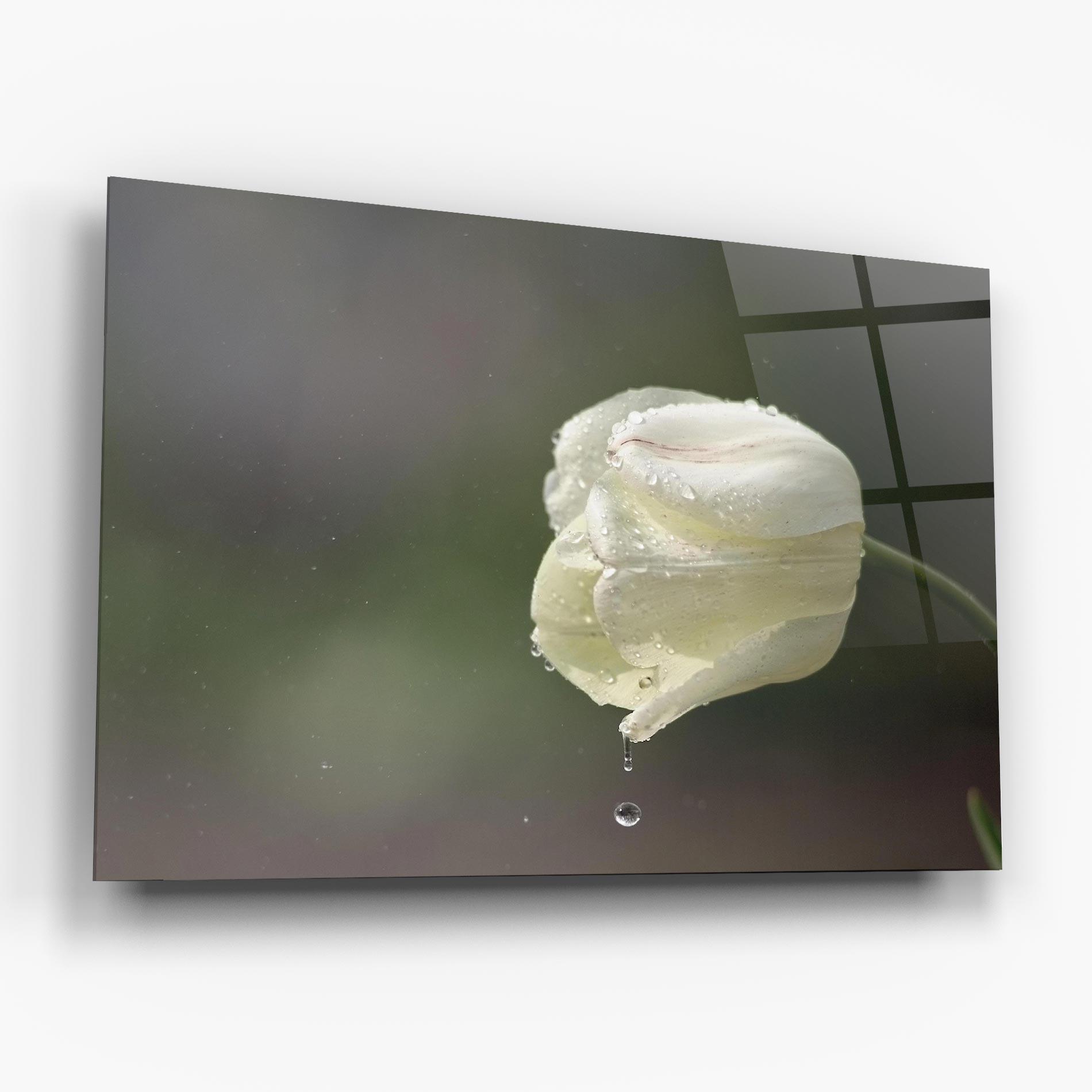 Tablou Sticla White Single Tulip mockup 6