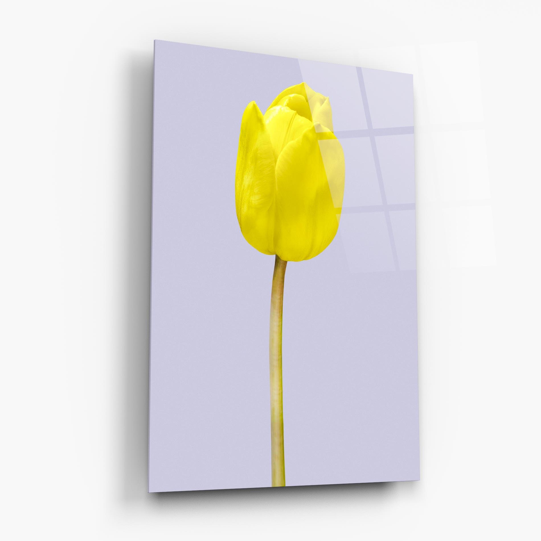 Tablou Sticla One Yellow Tulip mockup 6