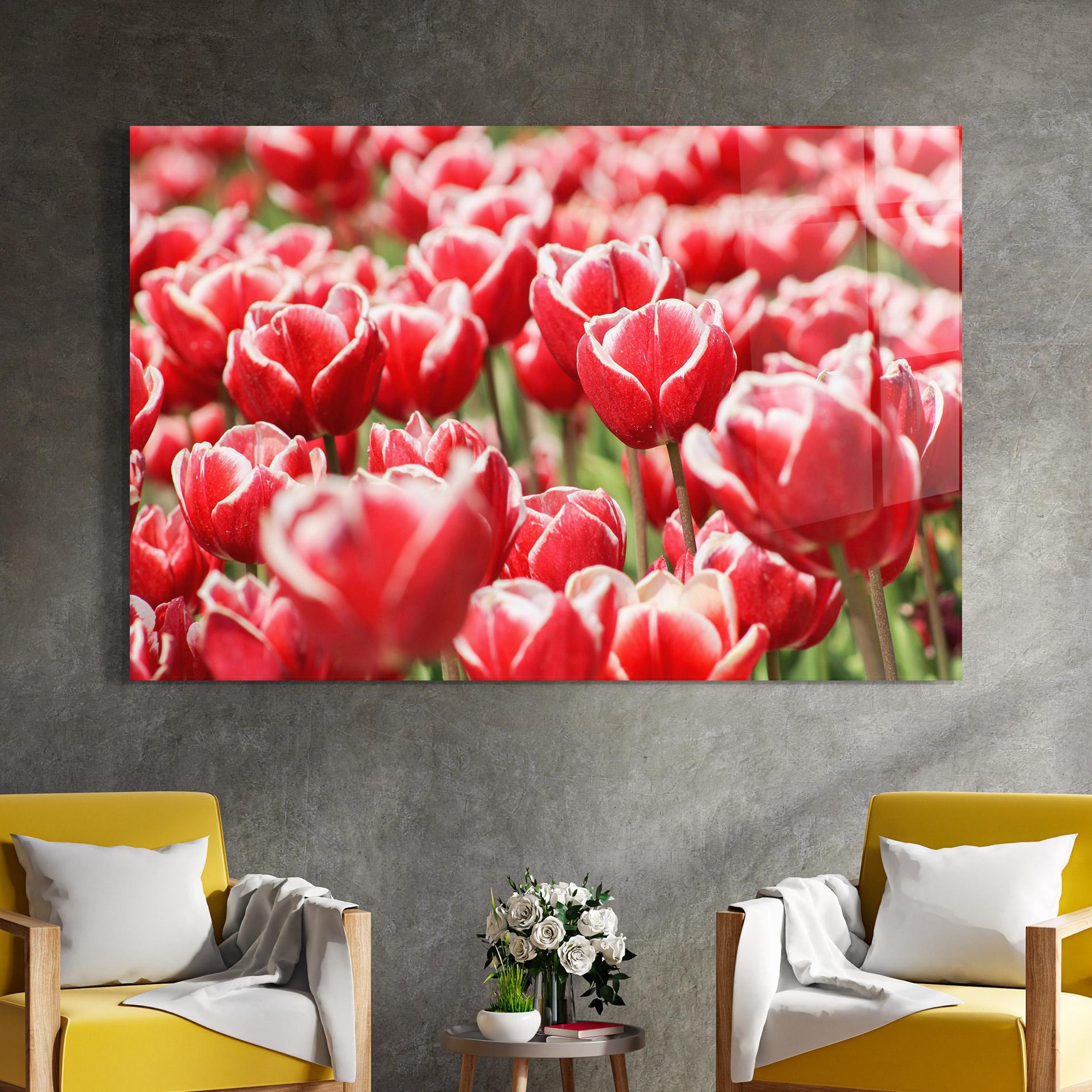Tablou Sticla Red White Tulips mockup 4