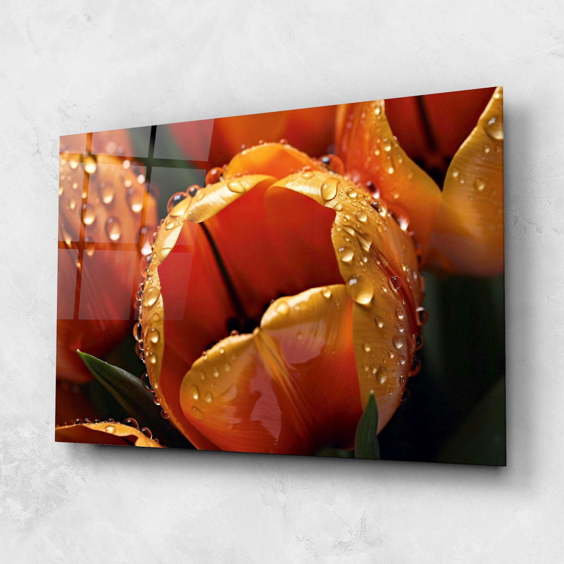 Tablou Sticla Orange Tulip Water Drops mockup 1