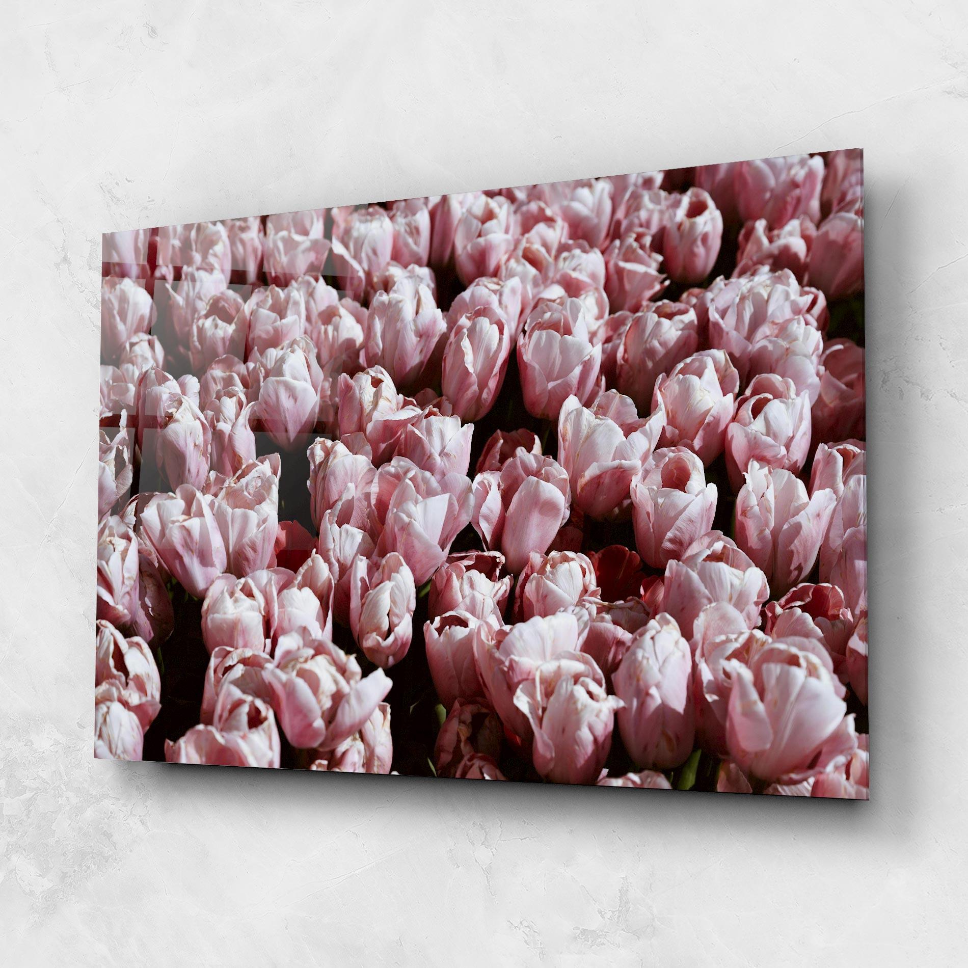 Tablou Sticla Pastel Pink Tulips Wall mockup 1