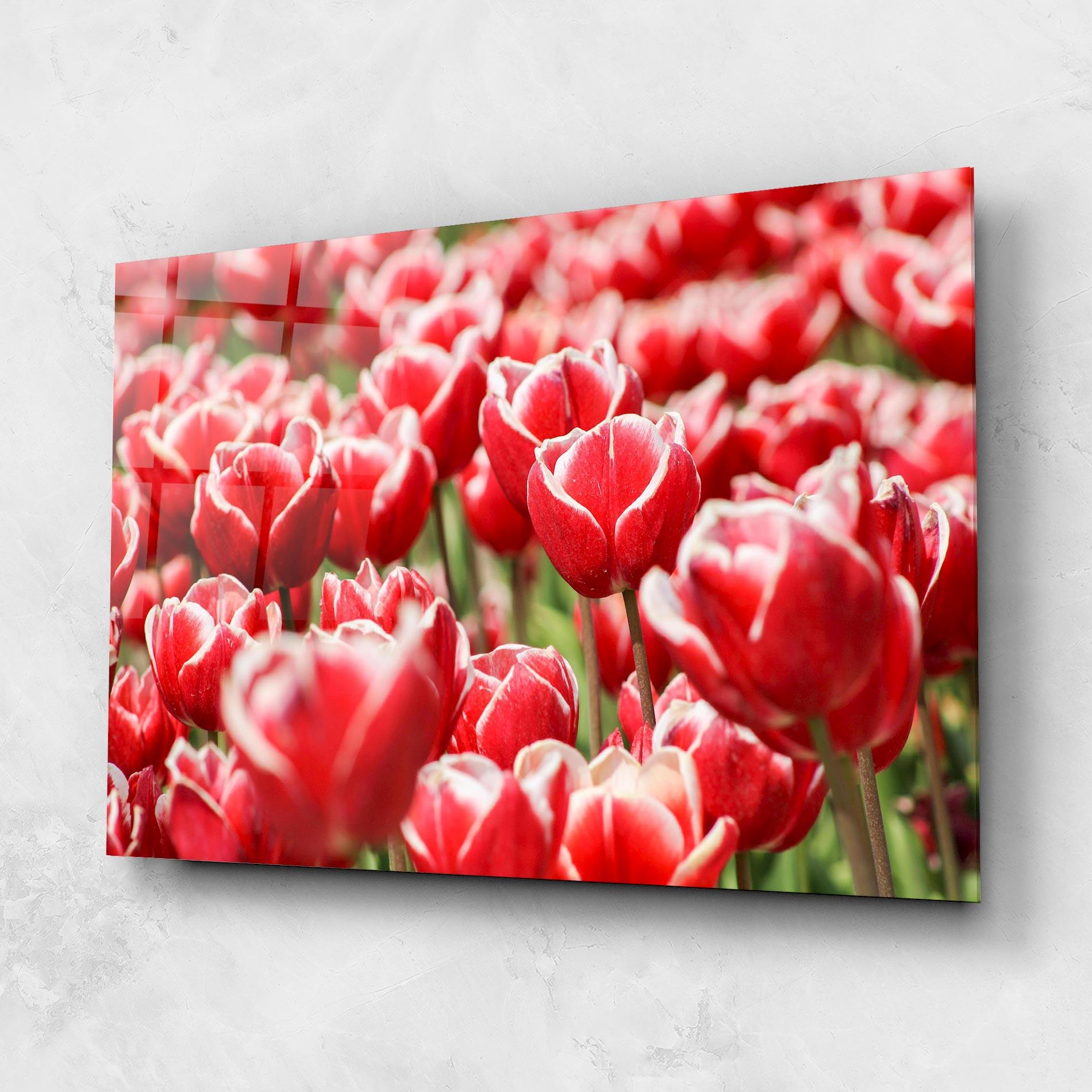 Tablou Sticla Red White Tulips mockup 1