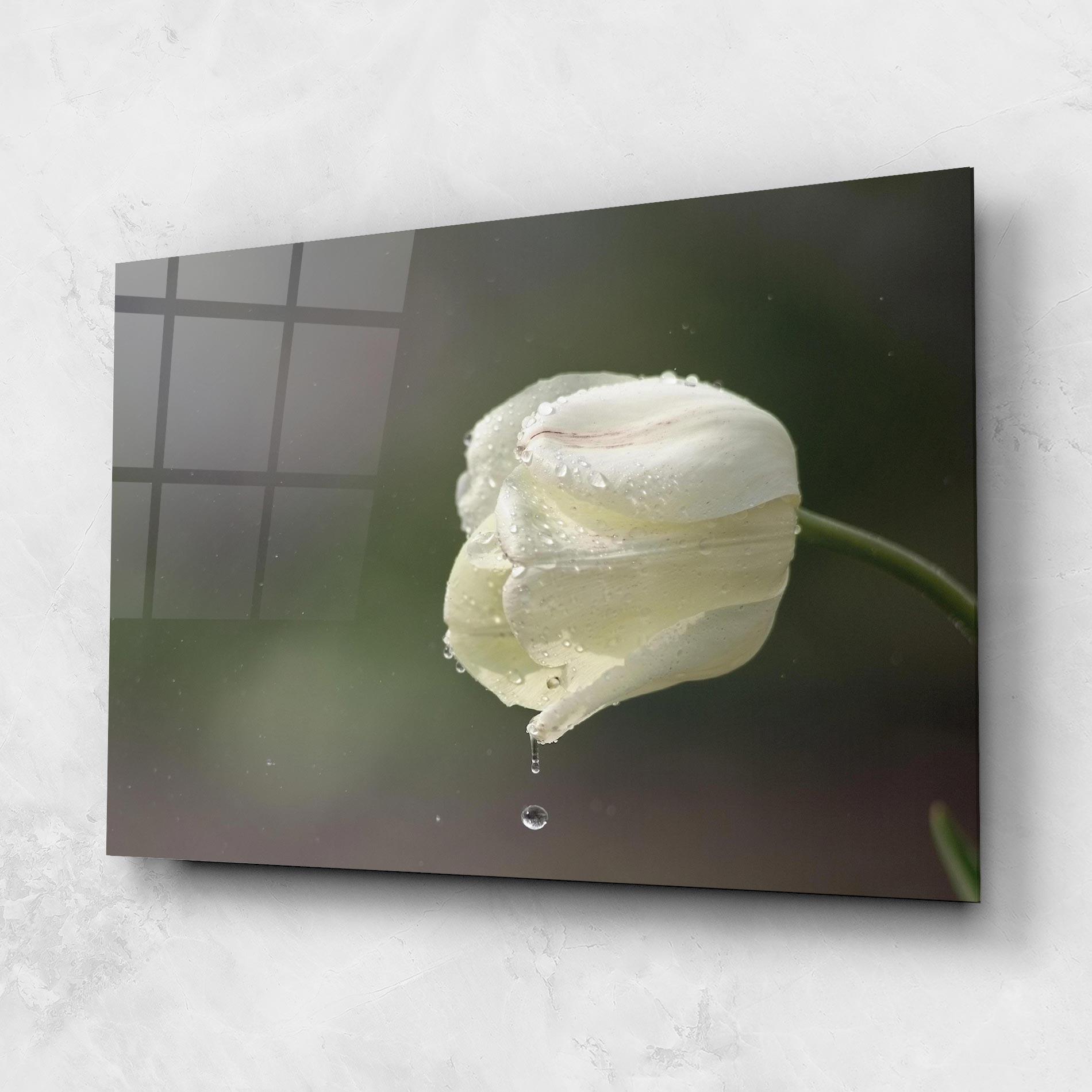 Tablou Sticla White Single Tulip mockup 1