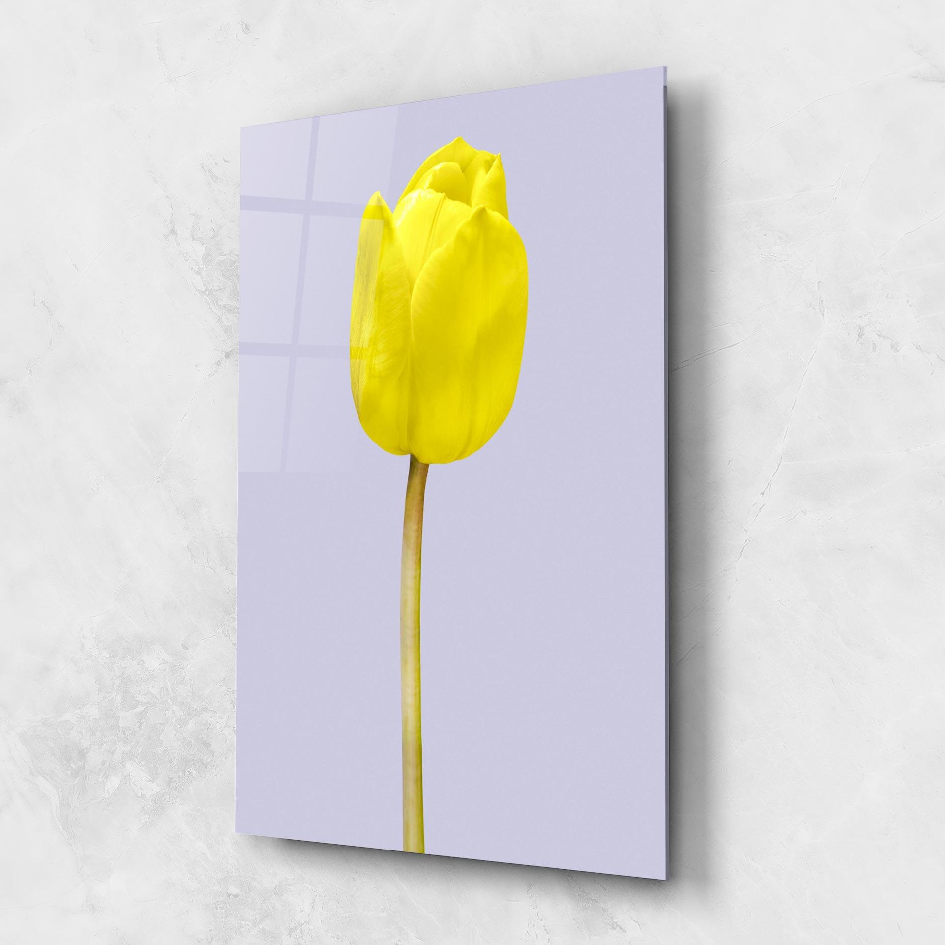 Tablou Sticla One Yellow Tulip mockup 1