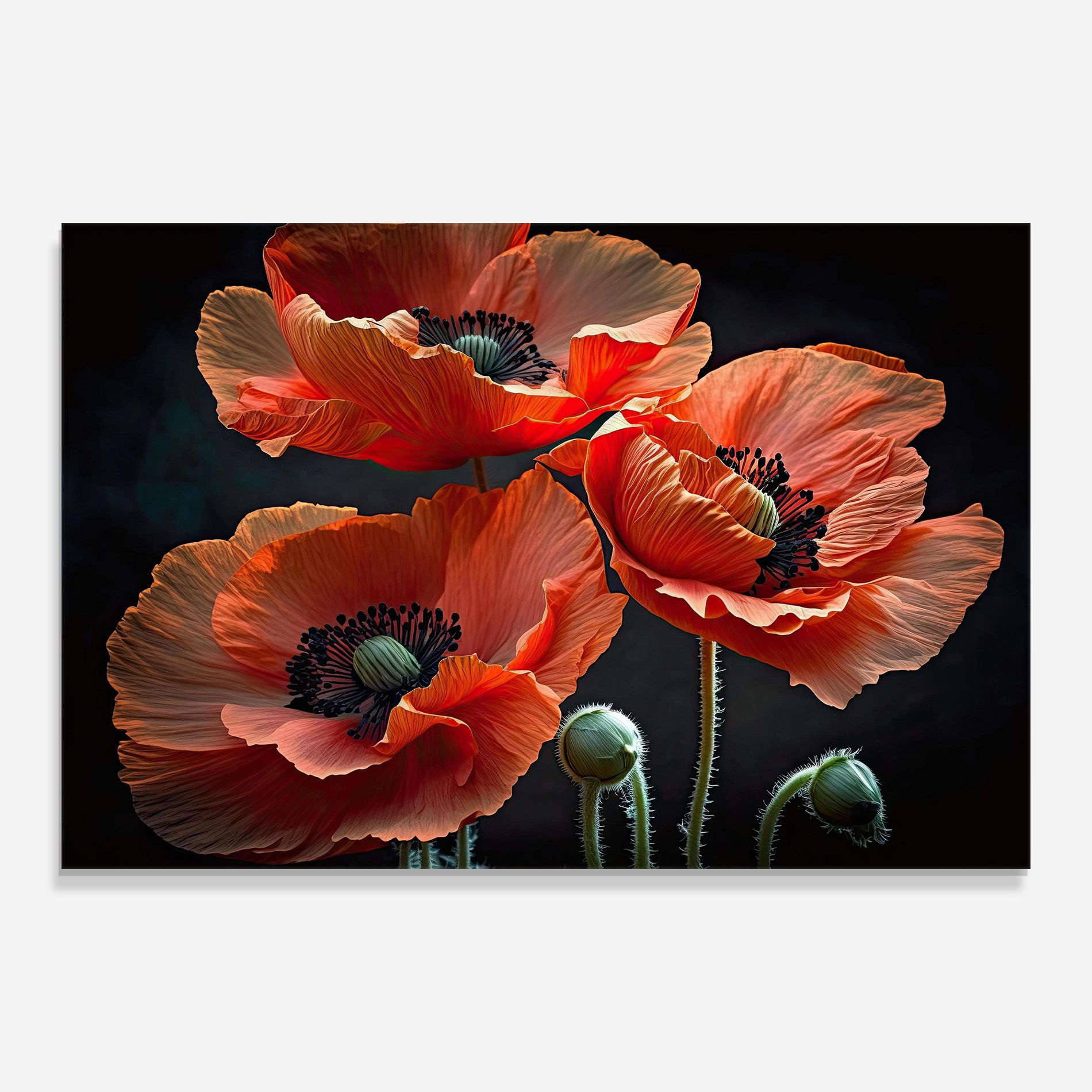 3 Poppies mockup 0