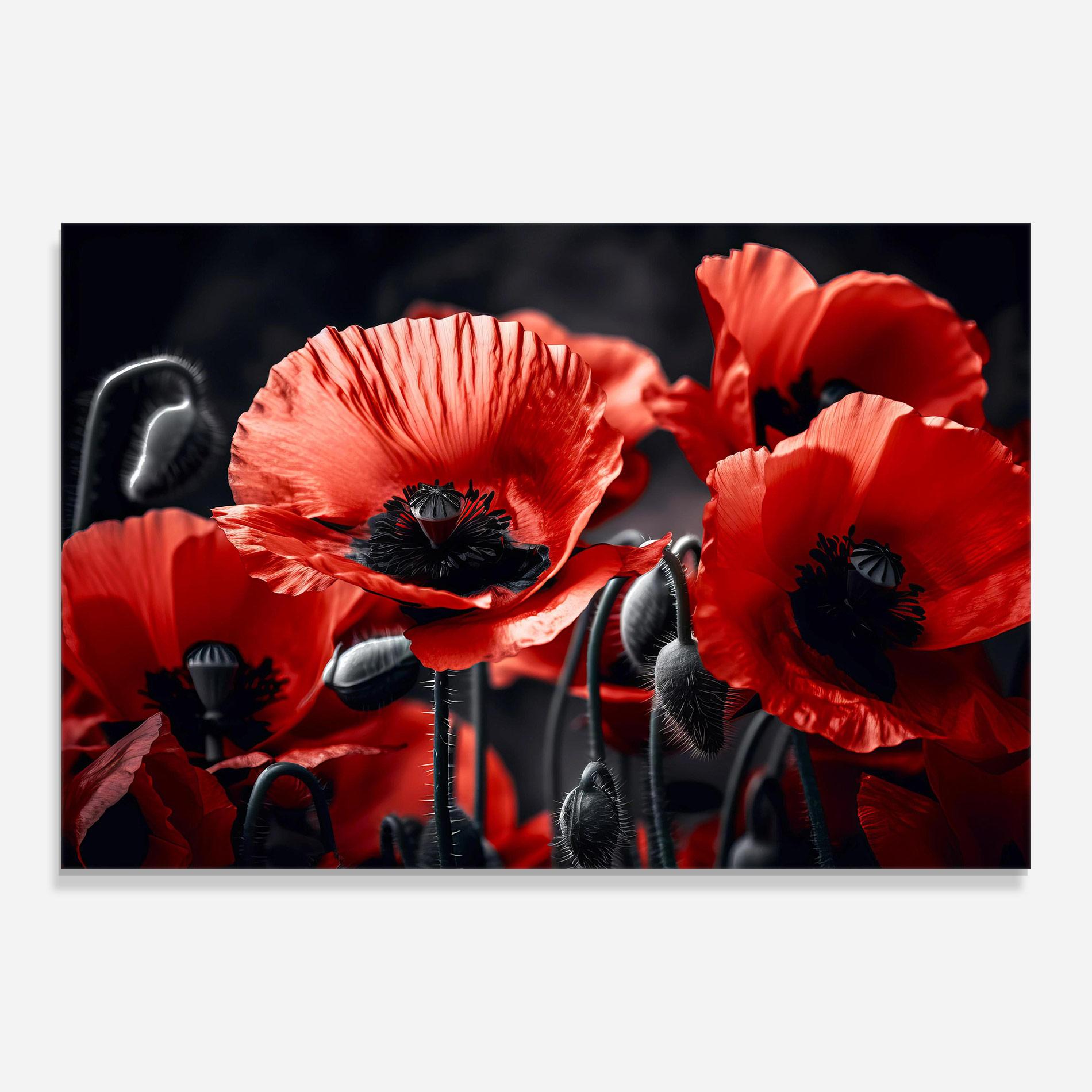 Tablou Sticla Black Red Poppy View mockup 0
