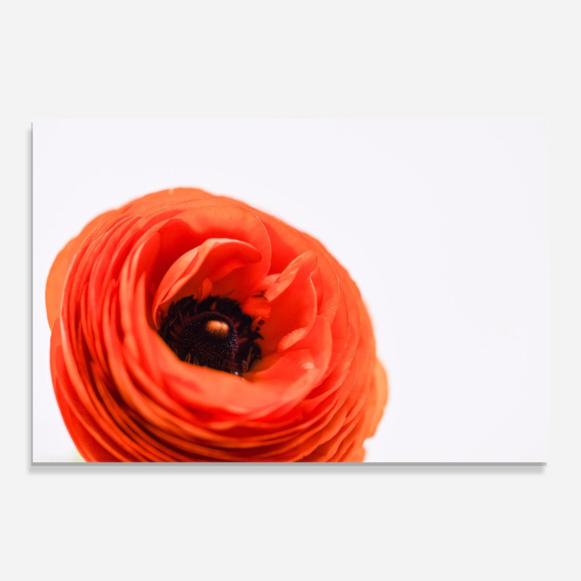 Tablou Sticla Pretty Red Poppy mockup 0