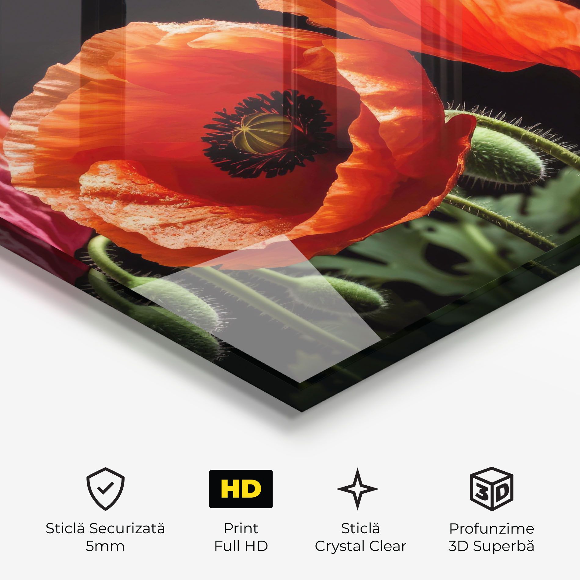 Dark Orange Poppies mockup 3