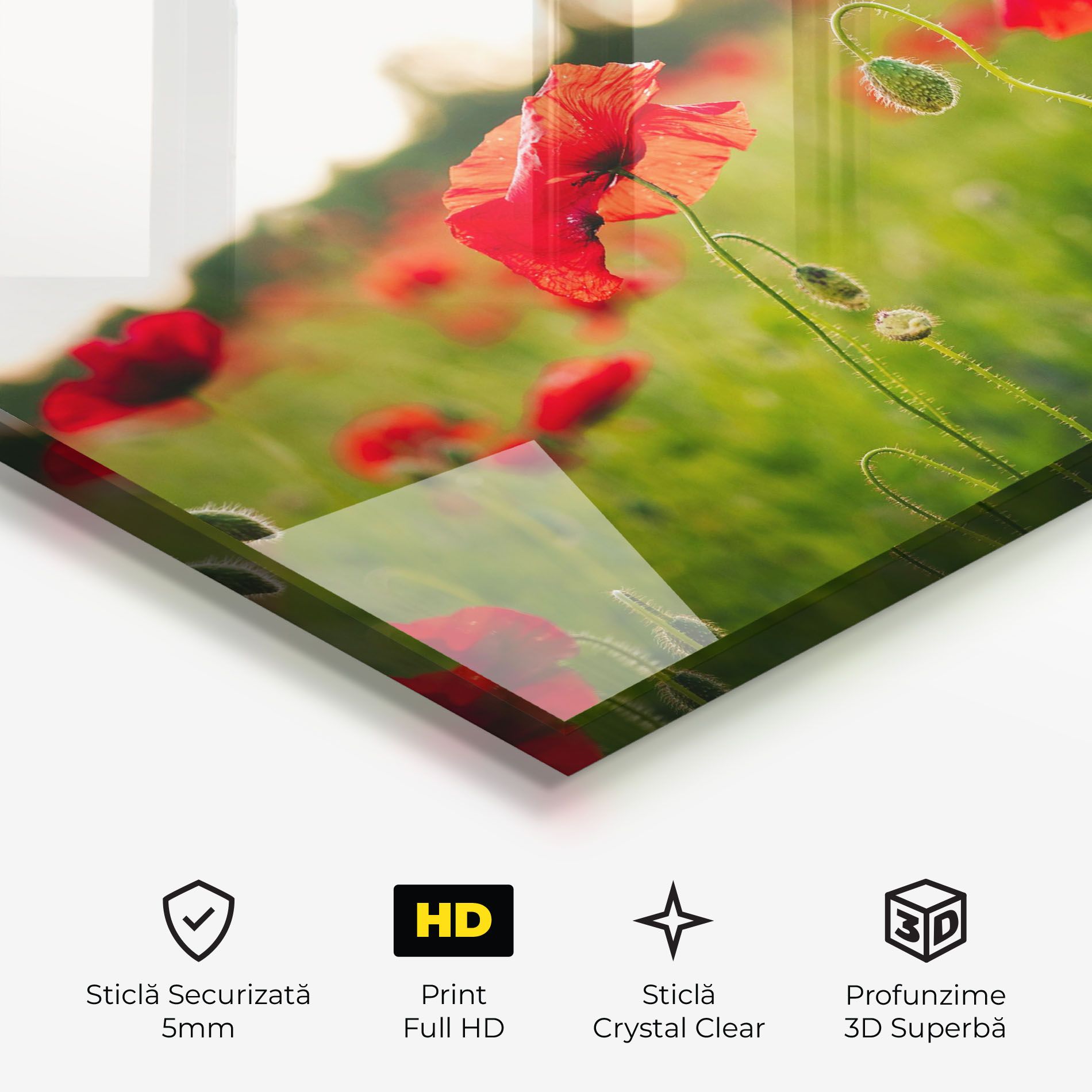 Poppies Field mockup 3