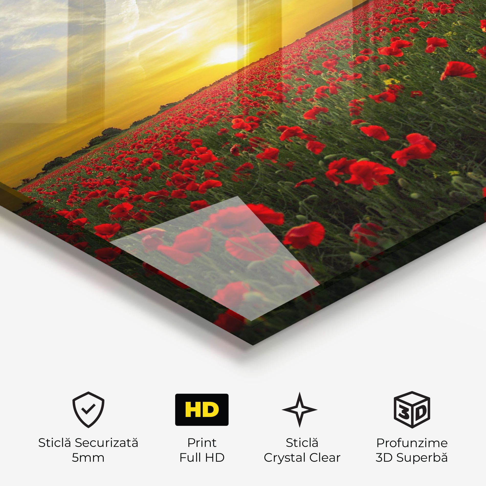 Poppies Sunset mockup 3