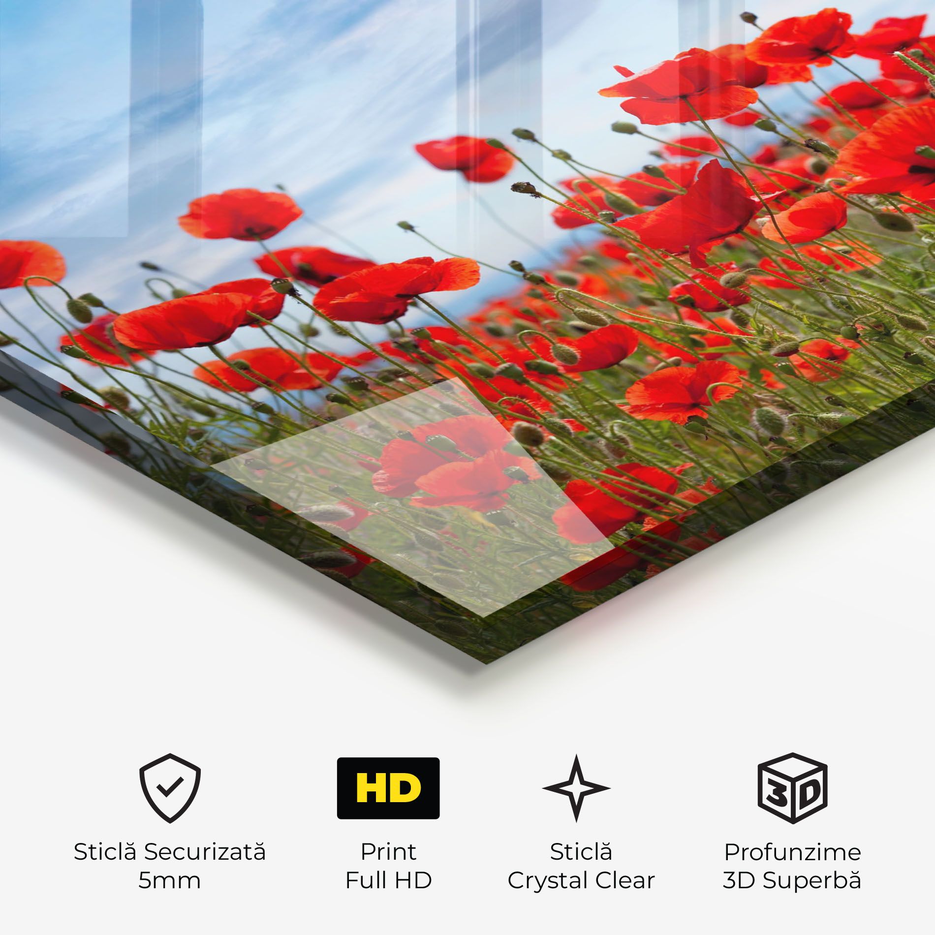 Poppy Field mockup 3