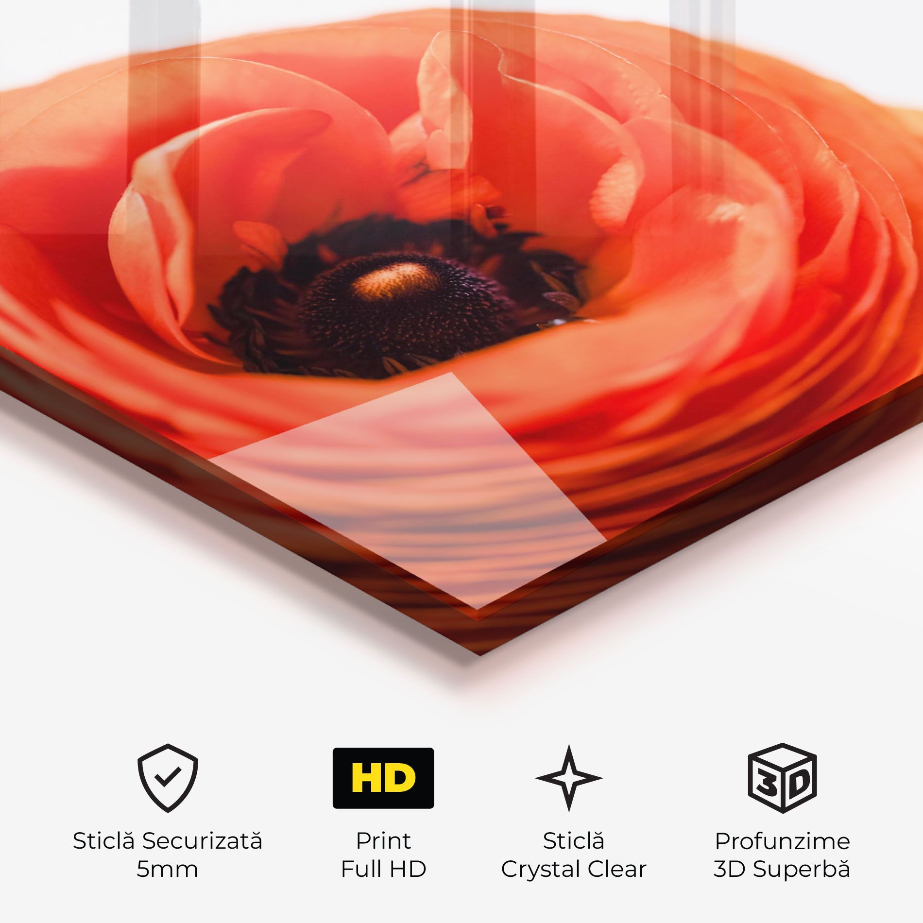 Pretty Red Poppy mockup 3