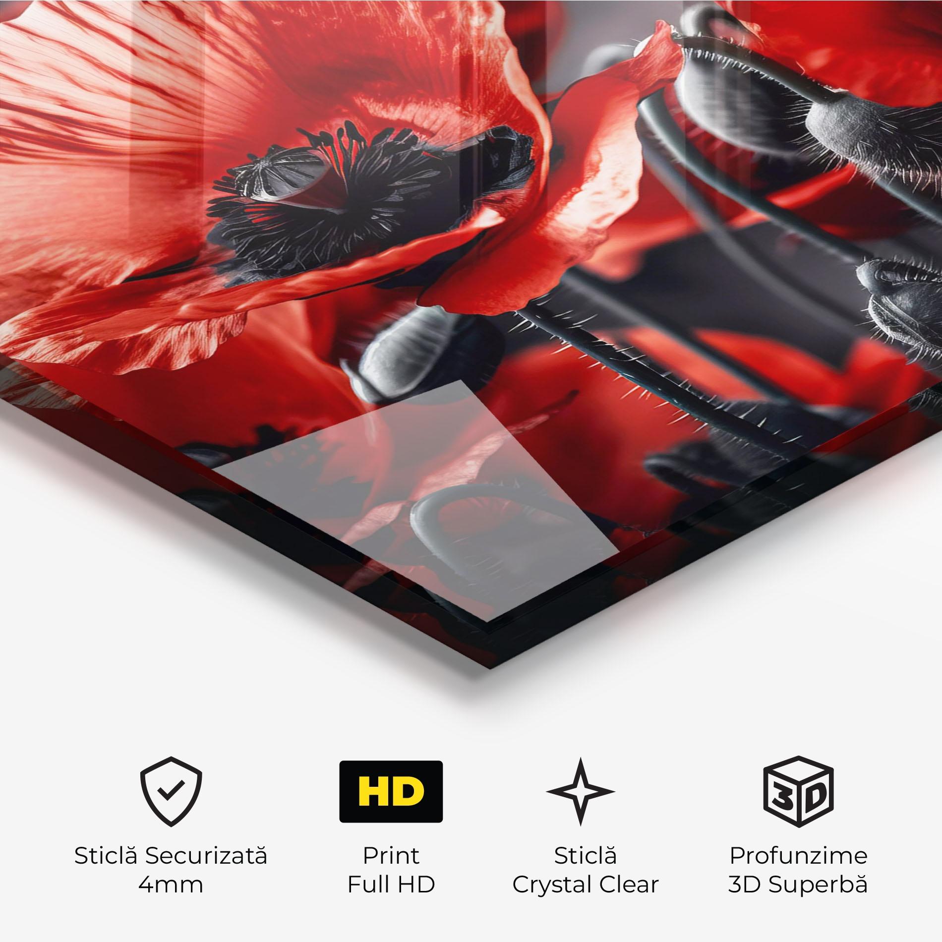 Tablou Sticla Black Red Poppy View mockup 3