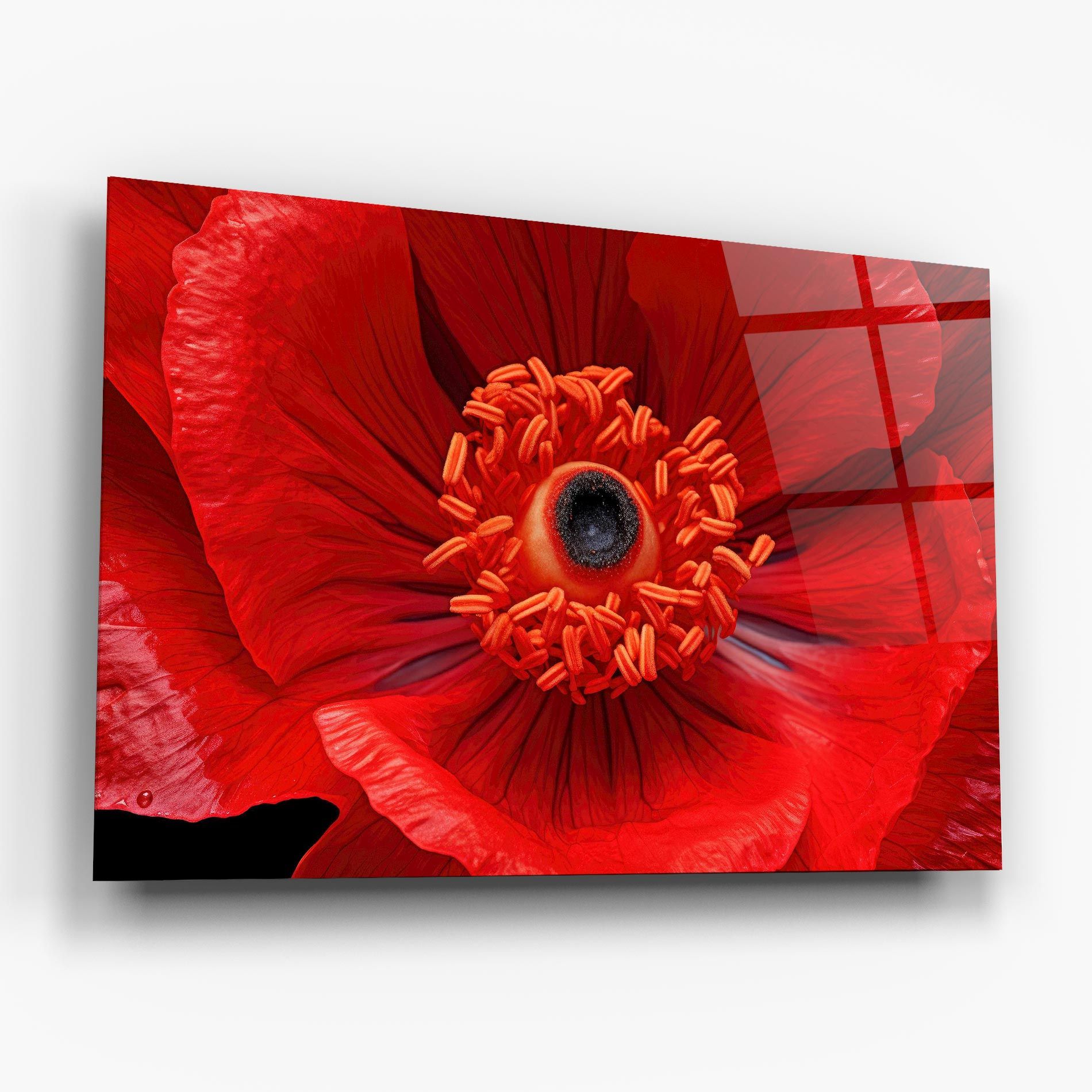 Big Poppy Close Up mockup 6