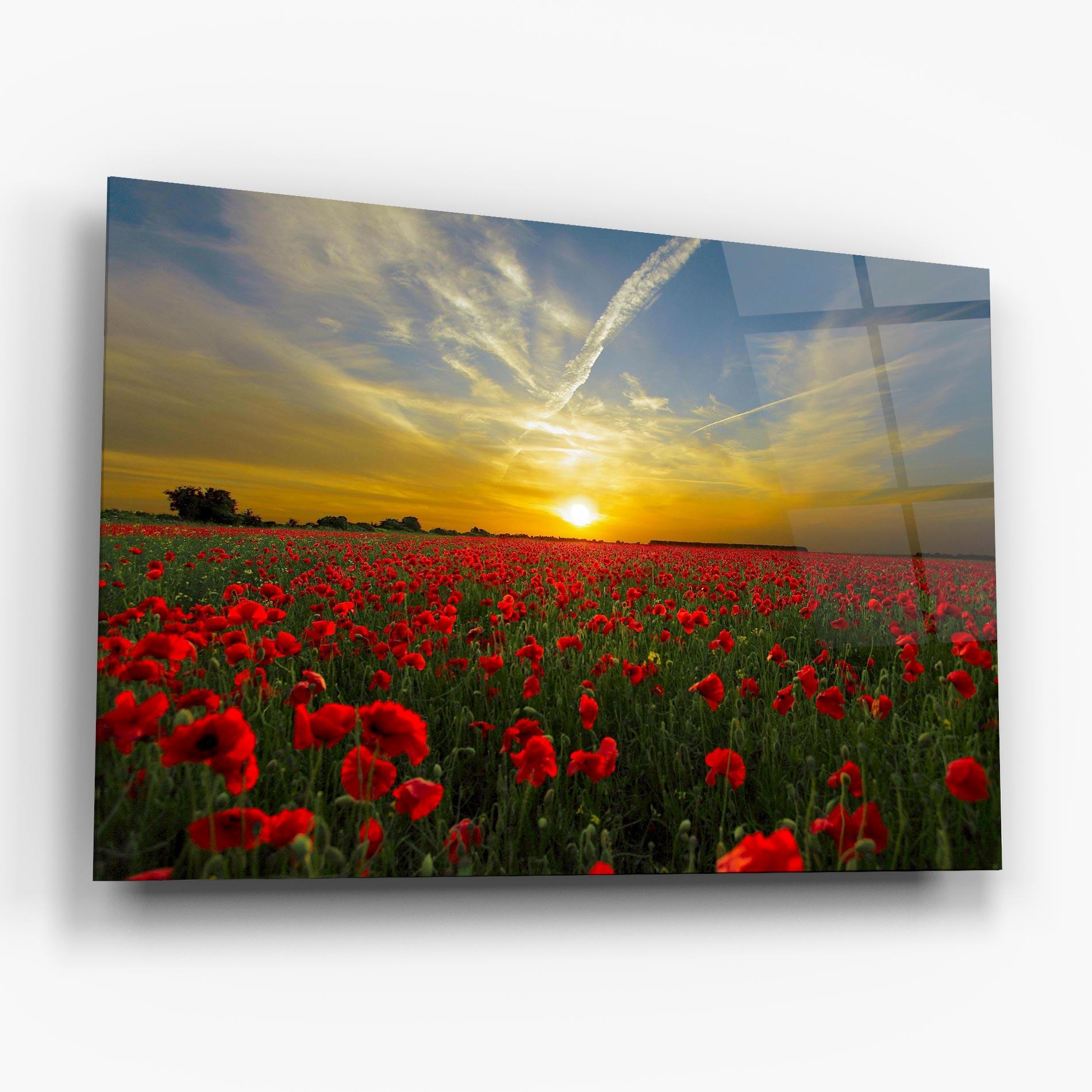 Tablou Sticla Poppies Sunset mockup 6