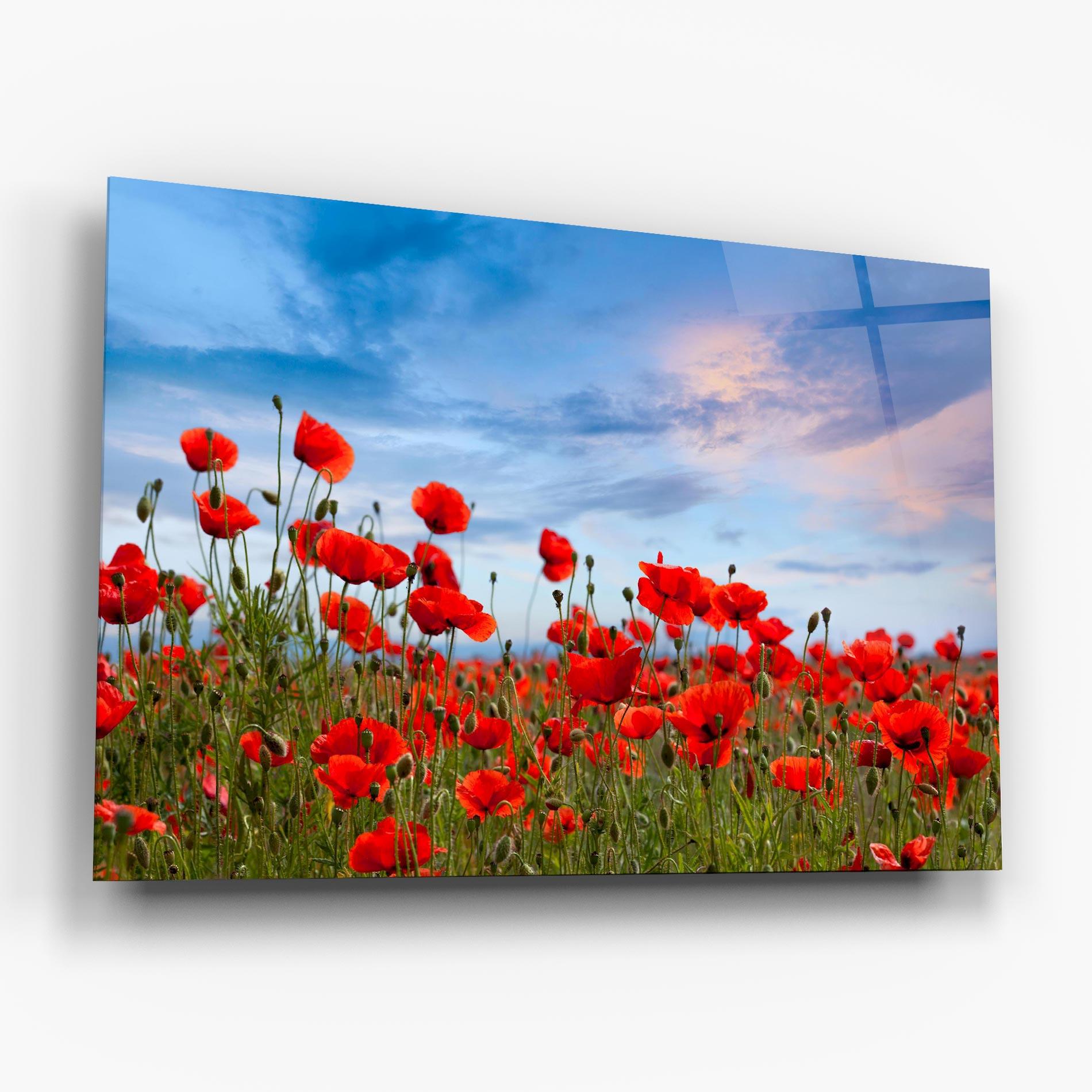 Tablou Sticla Poppy Field mockup 6