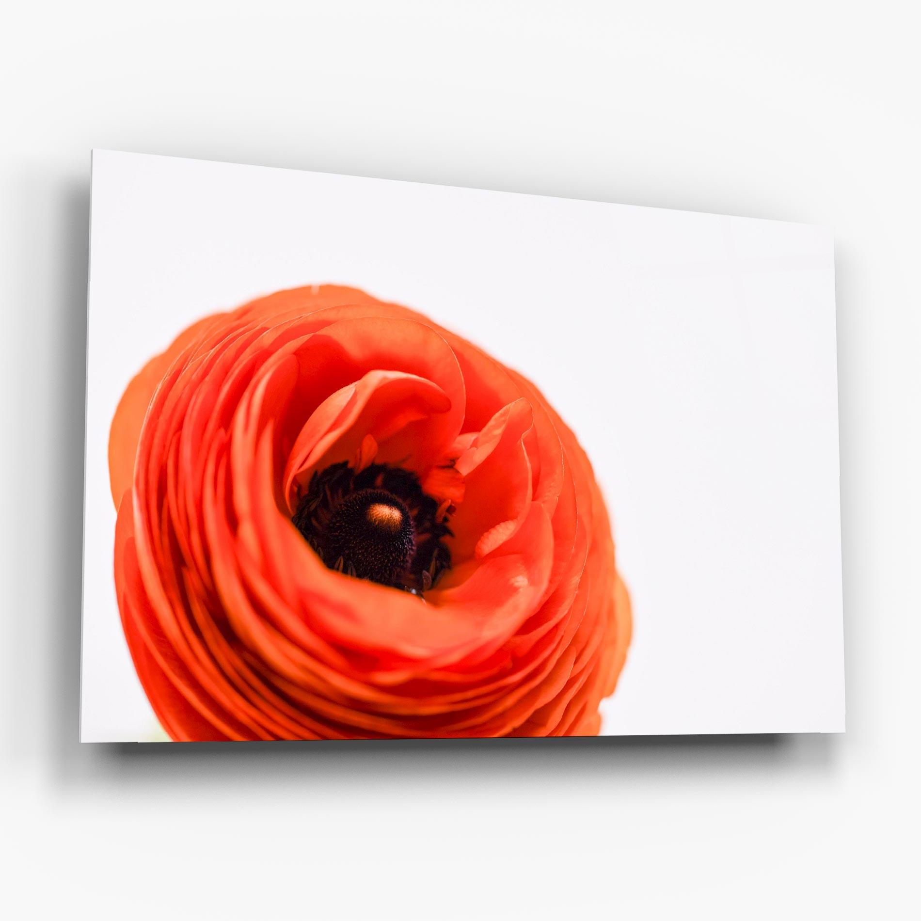 Tablou Sticla Pretty Red Poppy mockup 6