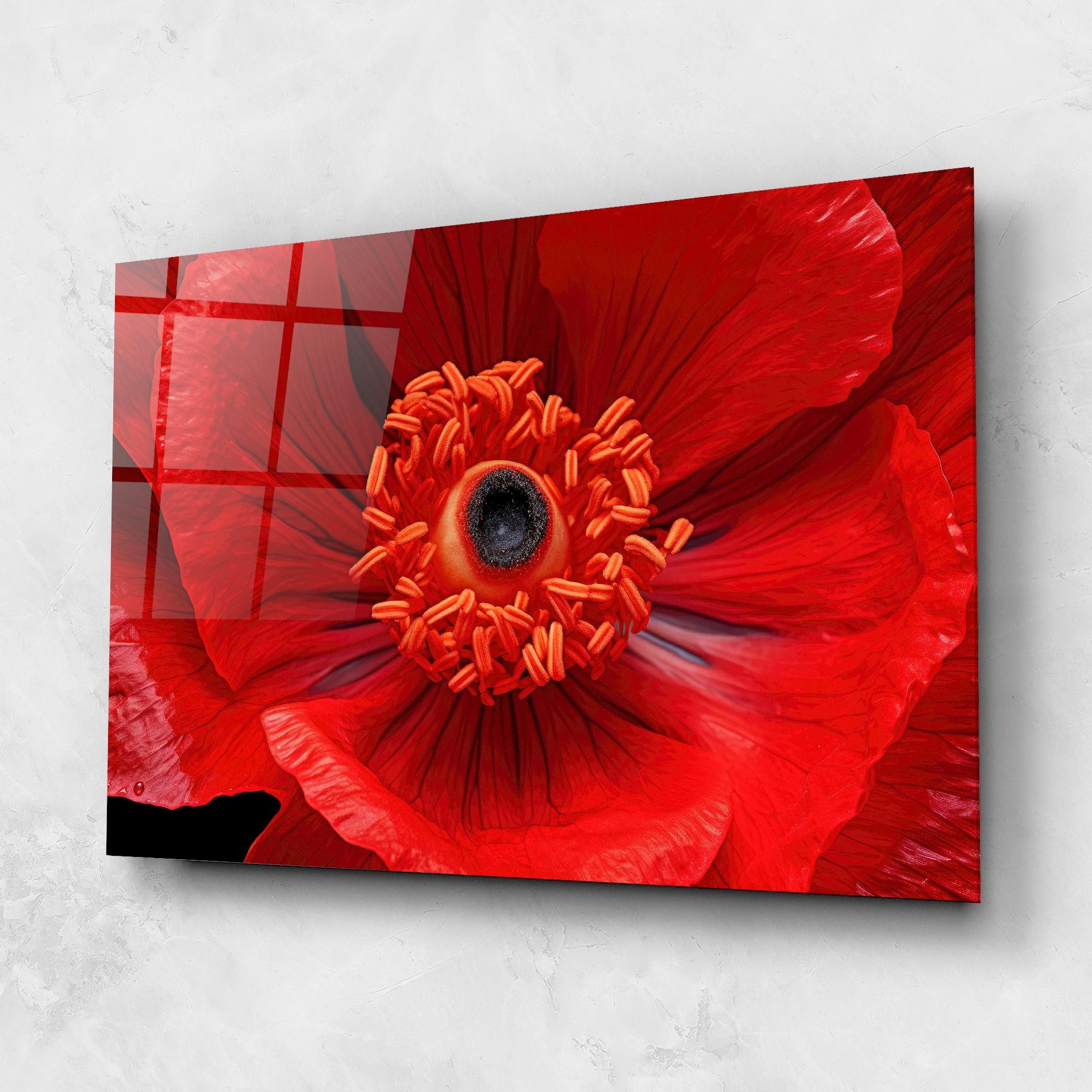 Big Poppy Close Up mockup 1