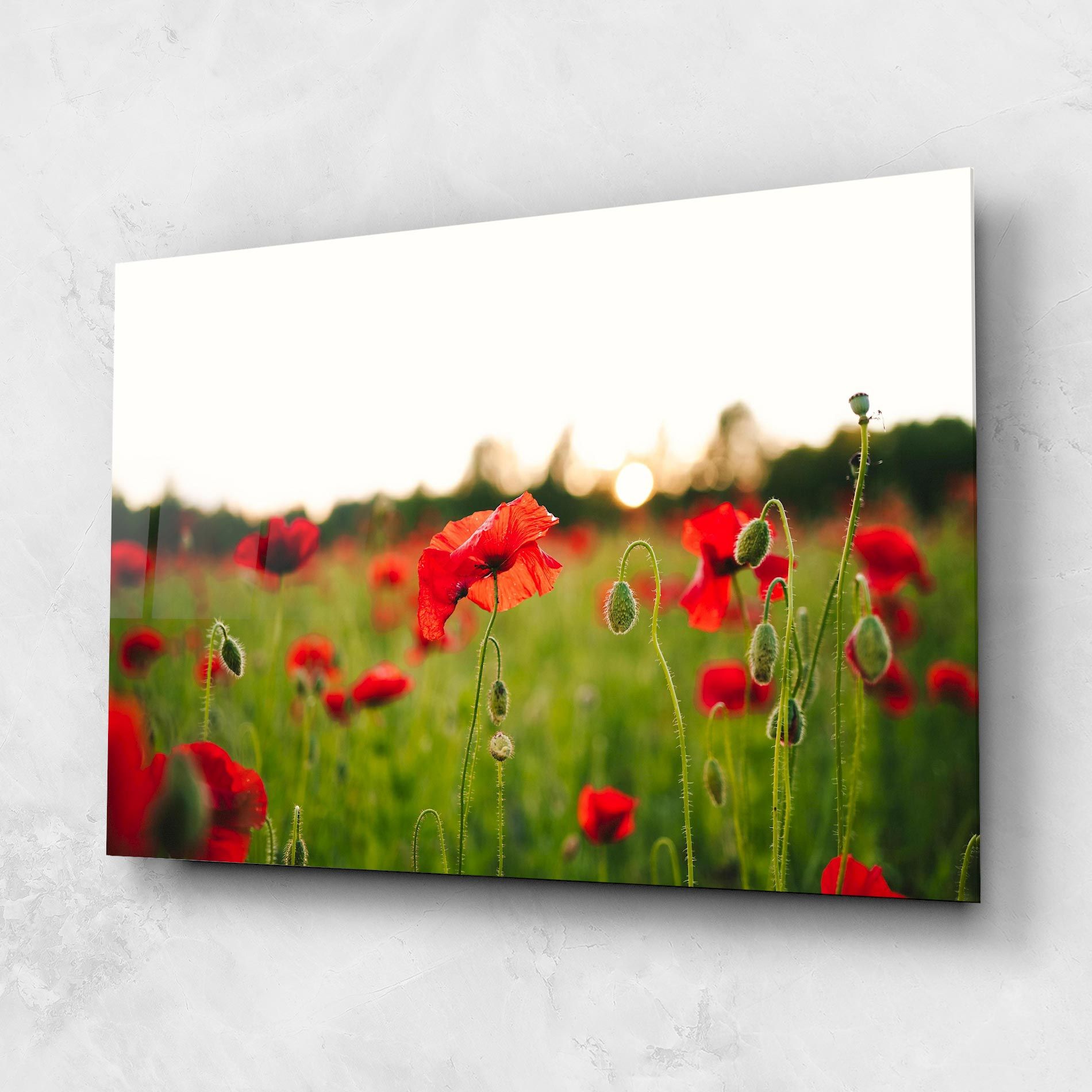 Poppies Field mockup 1