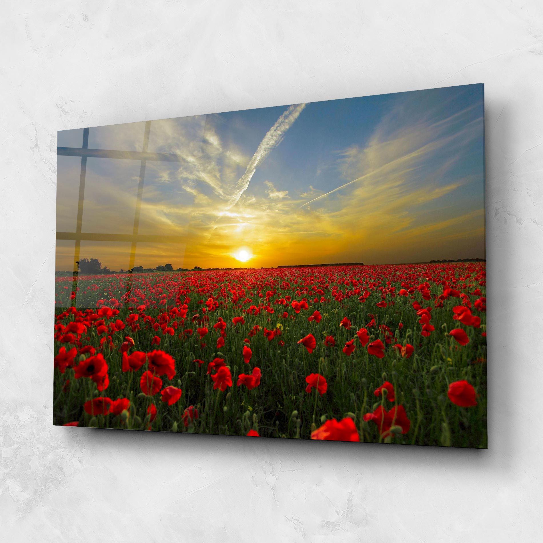 Poppies Sunset mockup 1