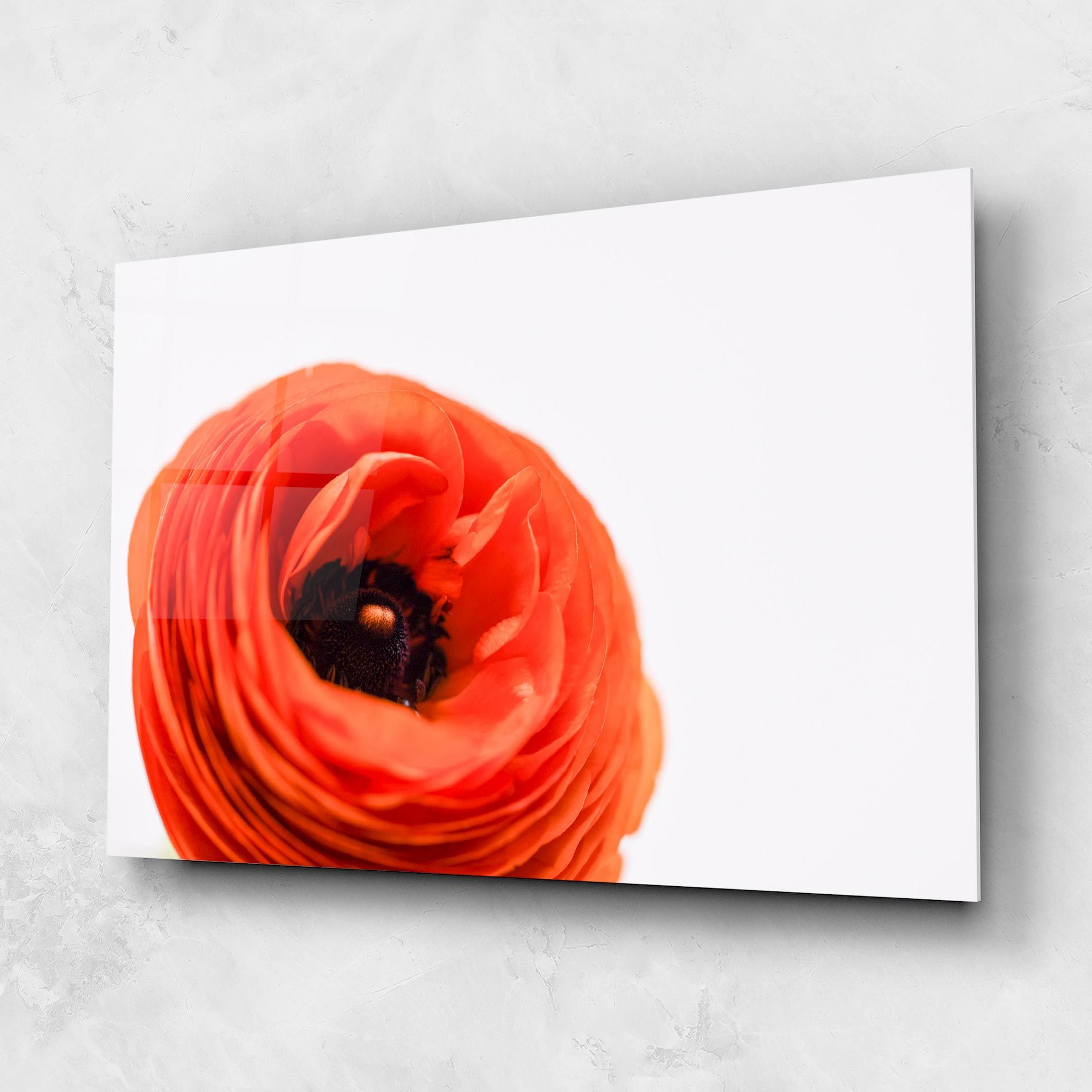 Pretty Red Poppy mockup 1