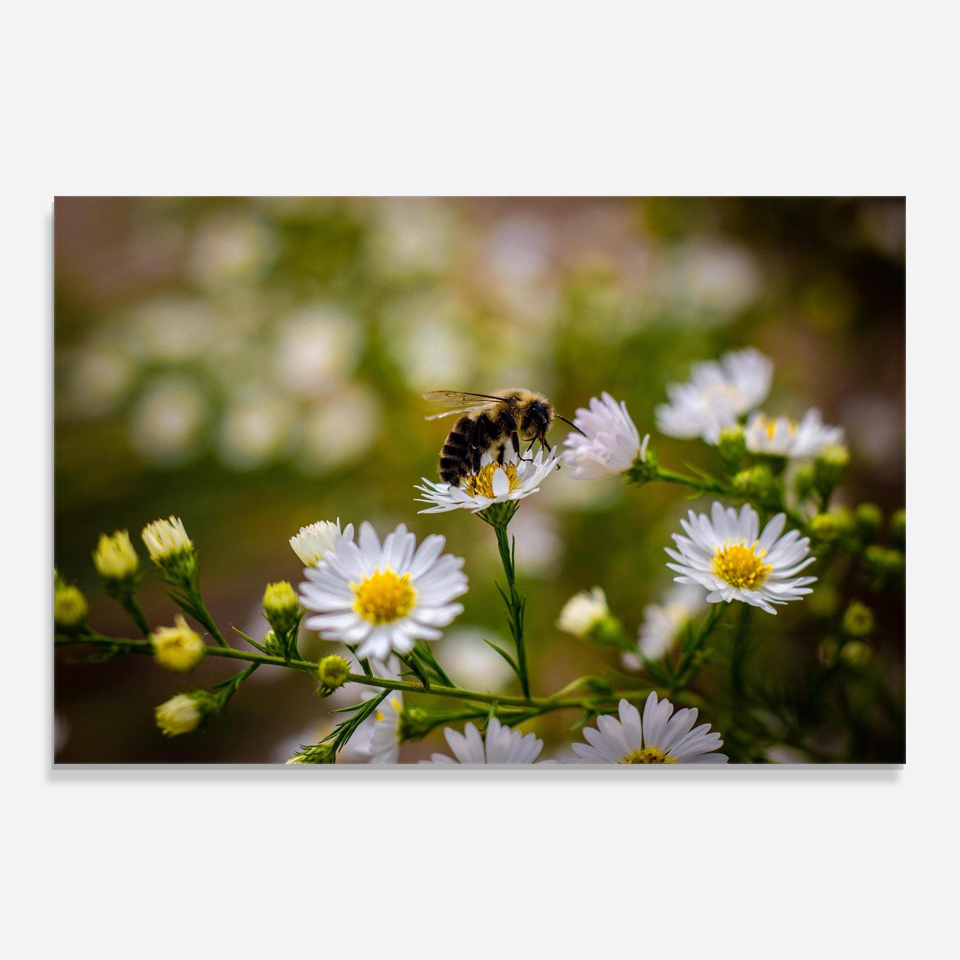 Tablou Sticla Bee On Small Flower mockup 0