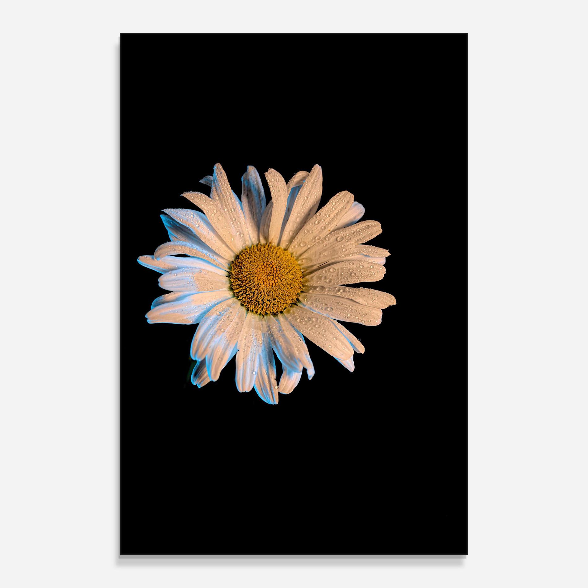 Tablou Sticla Daisy mockup 0