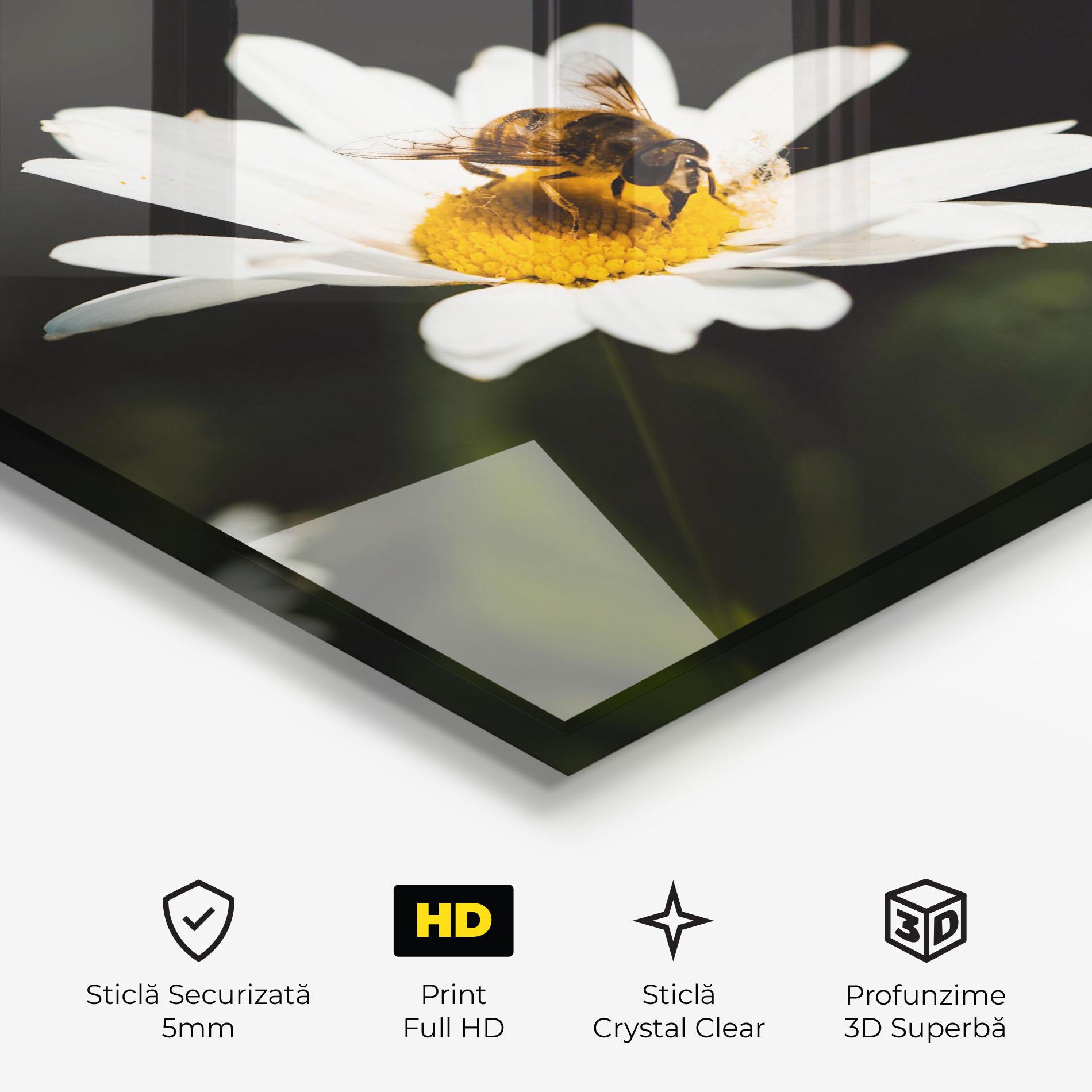 Tablou Sticla Bee Flying On Daisy mockup 3