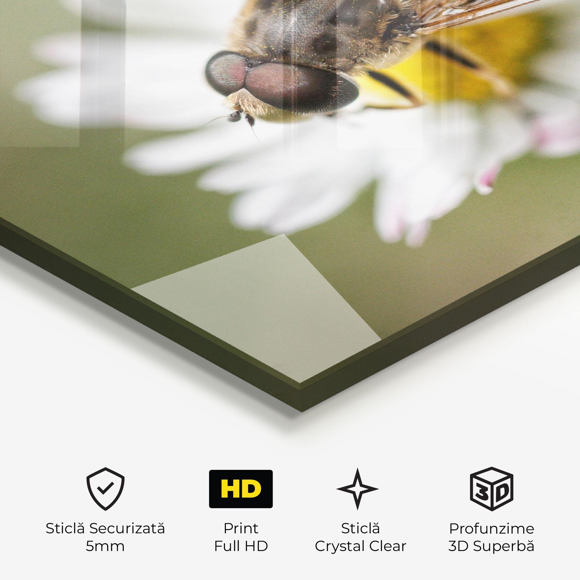 Tablou Sticla Bee On Small Daisy mockup 3