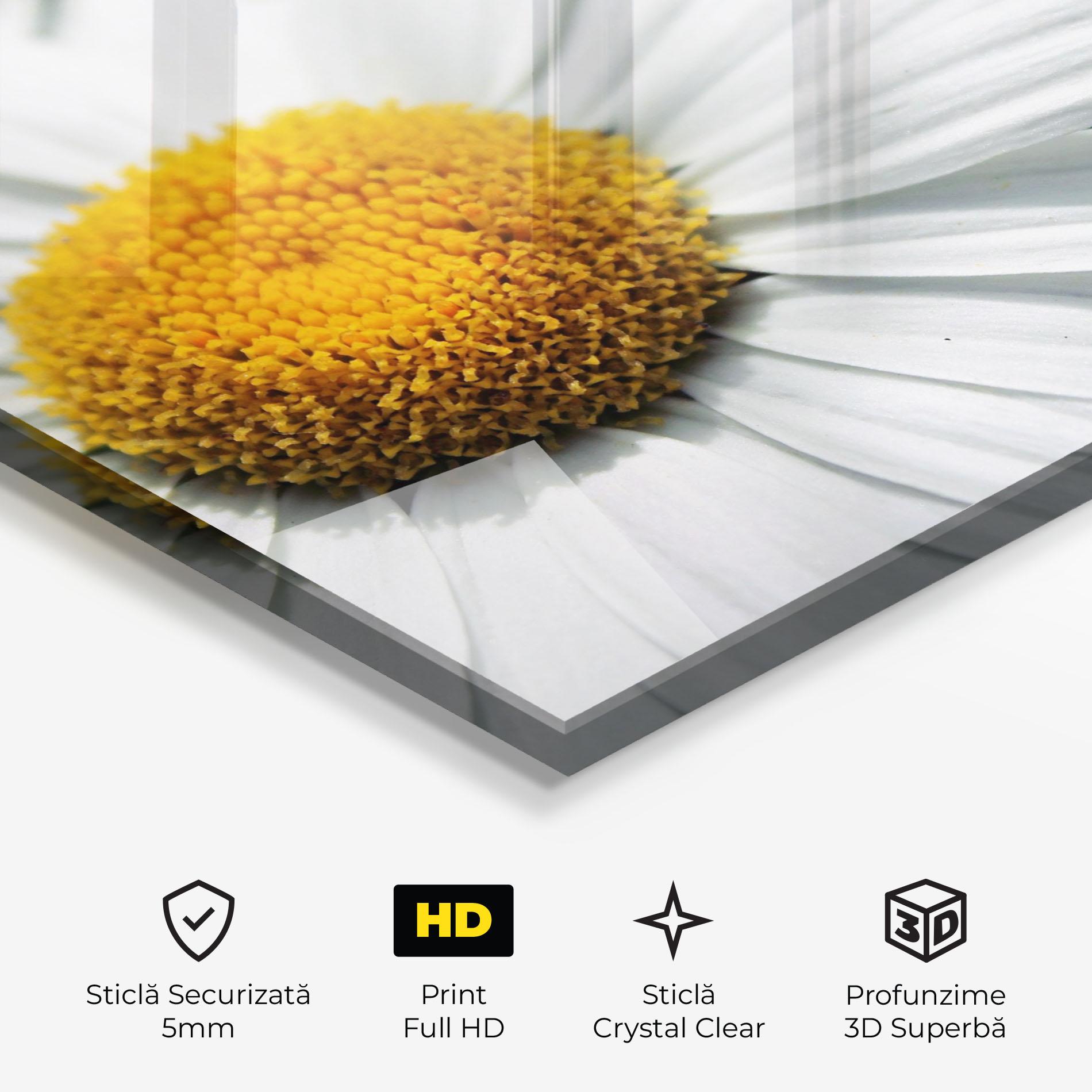 Tablou Sticla Big Daisies mockup 3