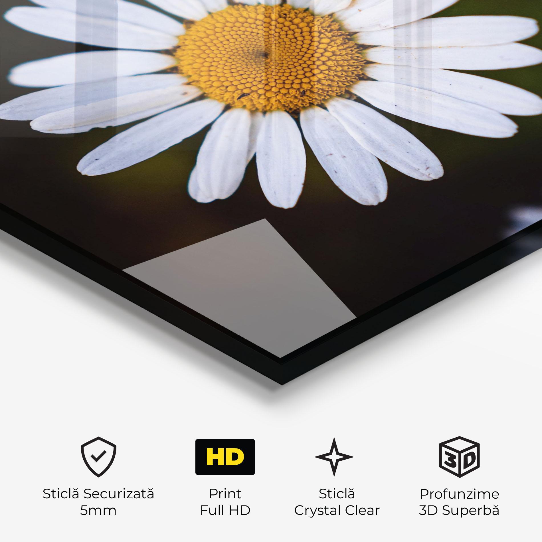 Tablou Sticla Big Yellow Center Daisy mockup 3