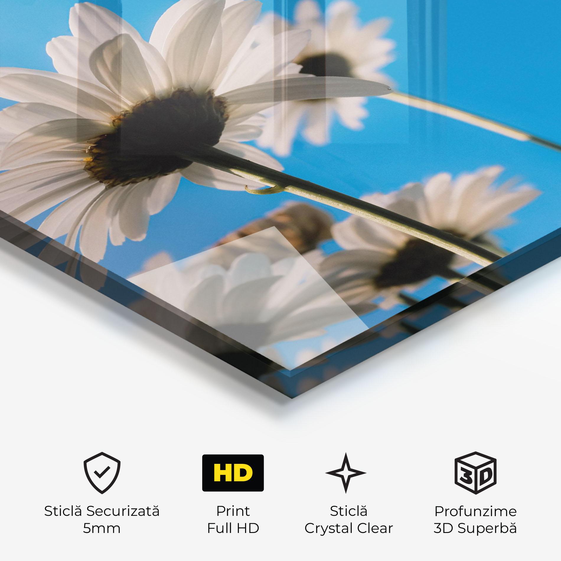 Tablou Sticla Blue Sky Daisy mockup 3