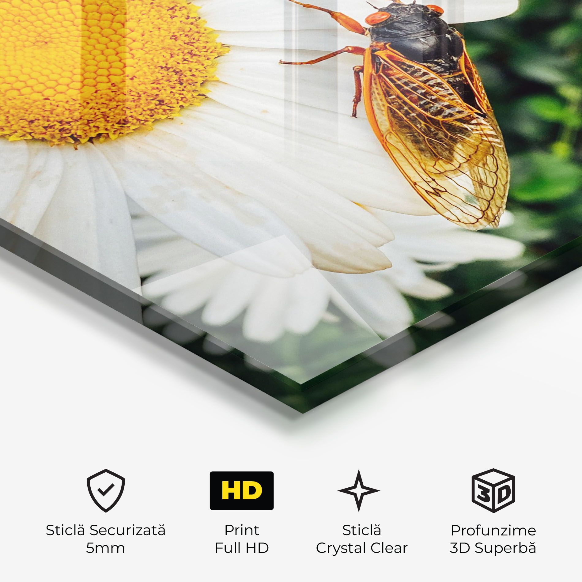 Bug On The Daisy mockup 3