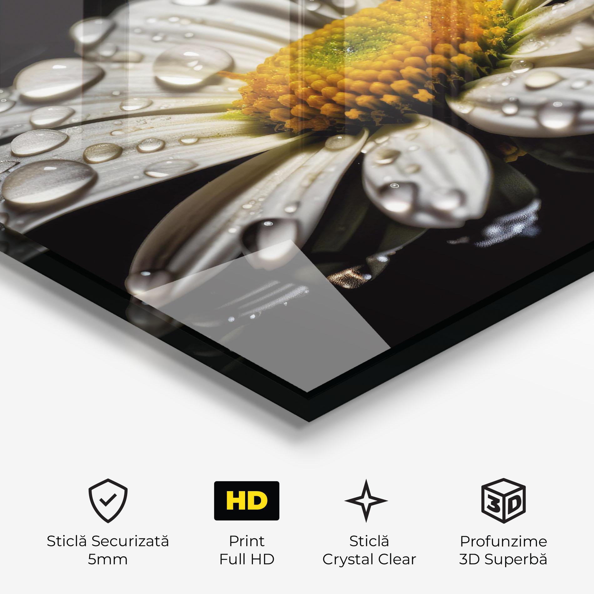 Tablou Sticla Daisy After The Rain mockup 3