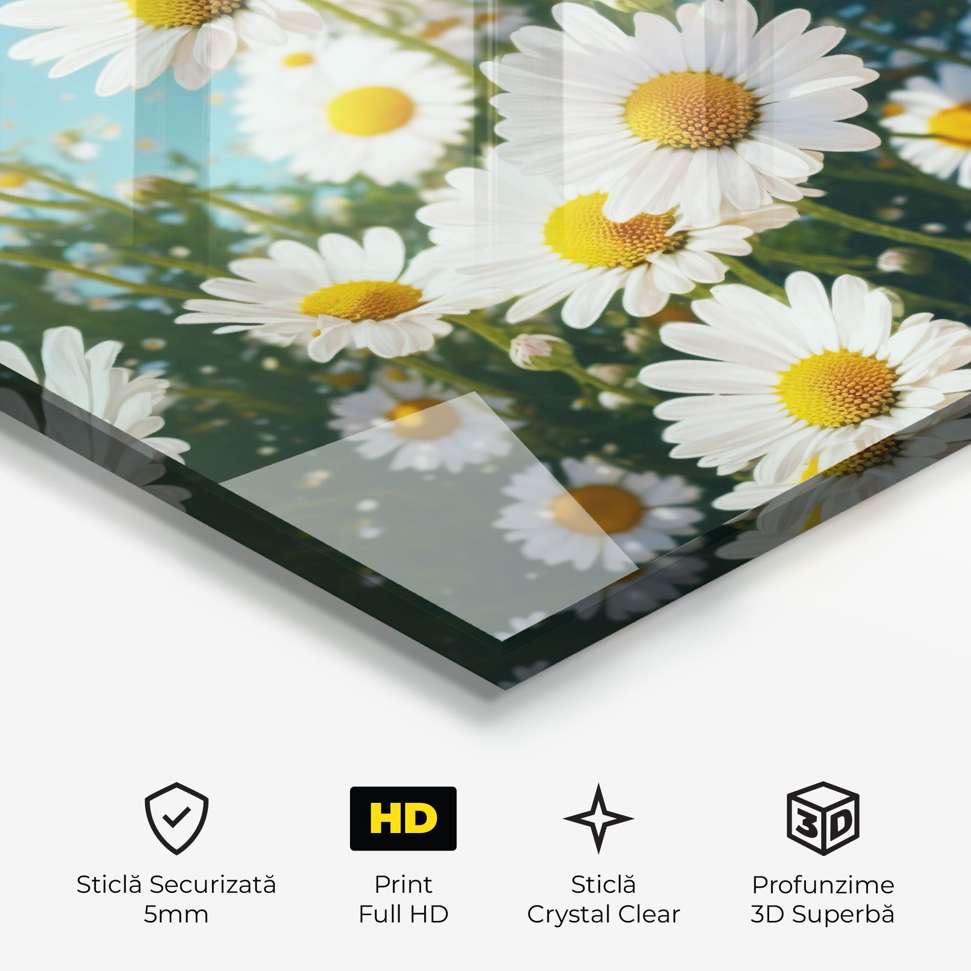 Daisy Field View mockup 3