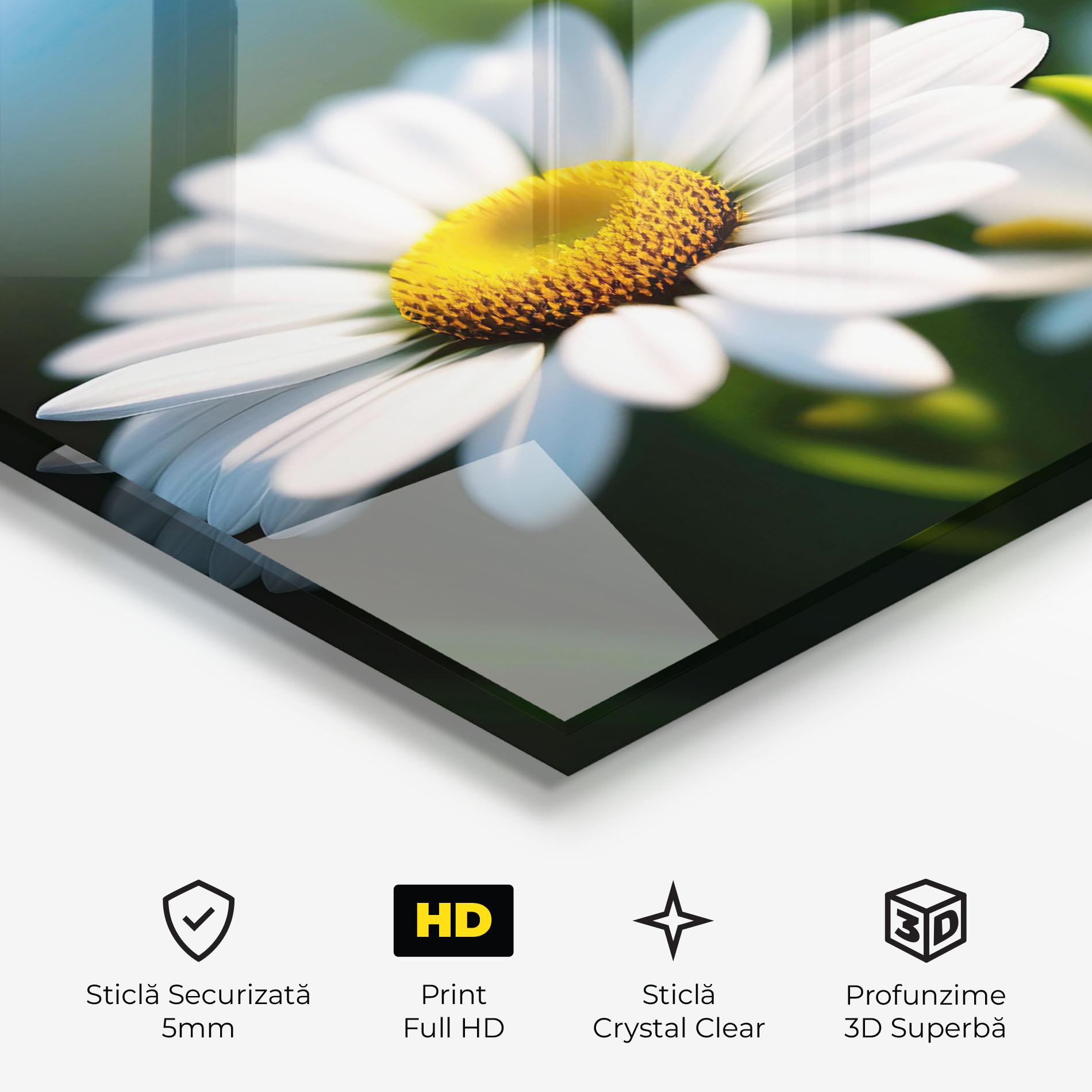 Tablou Sticla Daisy In The Sun mockup 3