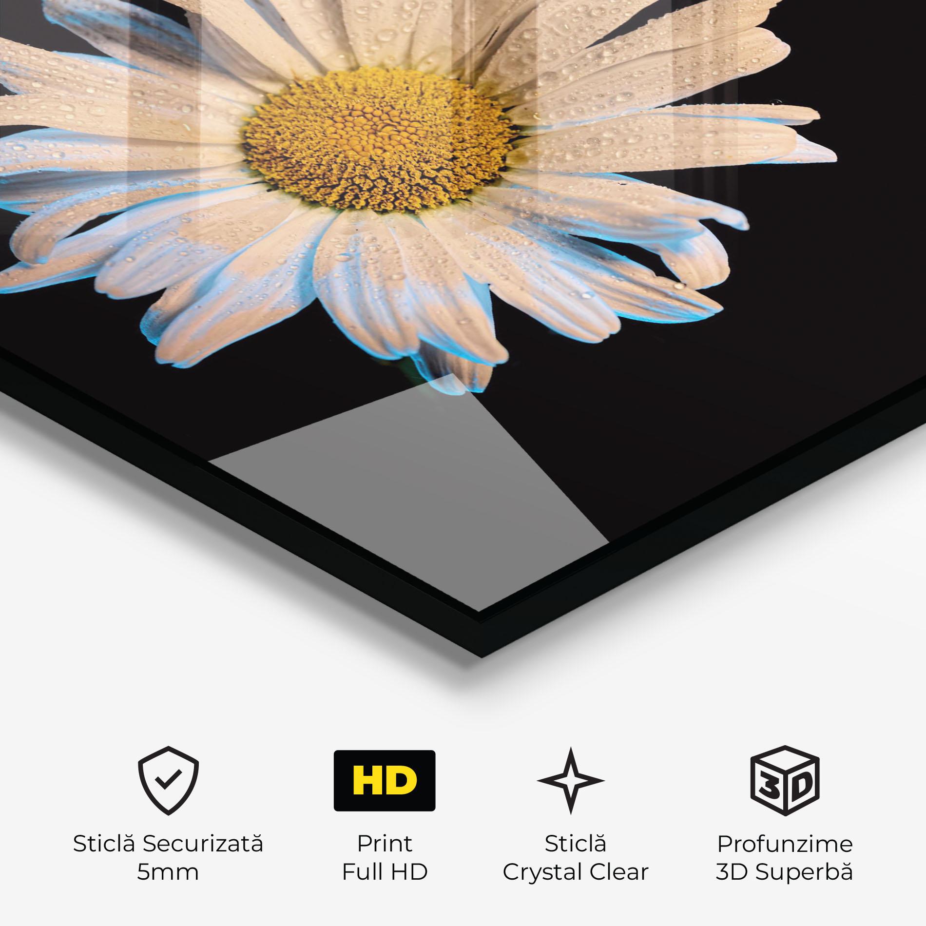 Tablou Sticla Daisy mockup 3