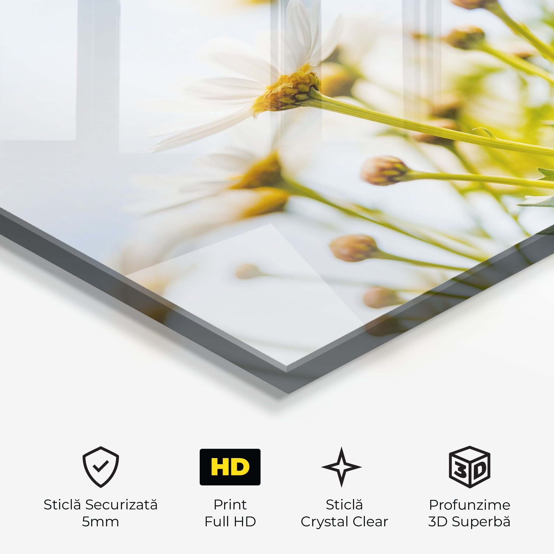 Dreamy Daisy mockup 3