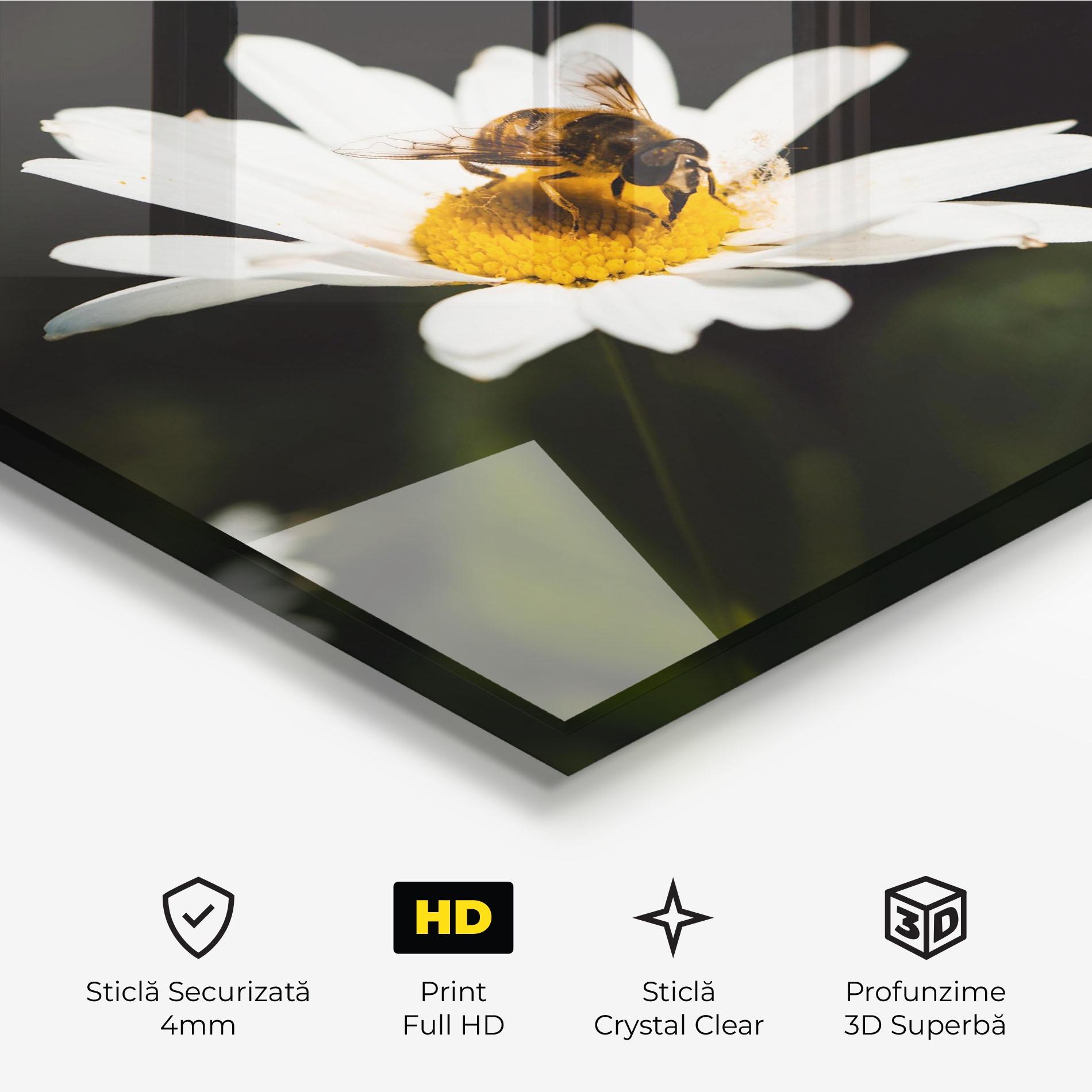 Tablou Sticla Bee Flying On Daisy mockup 3