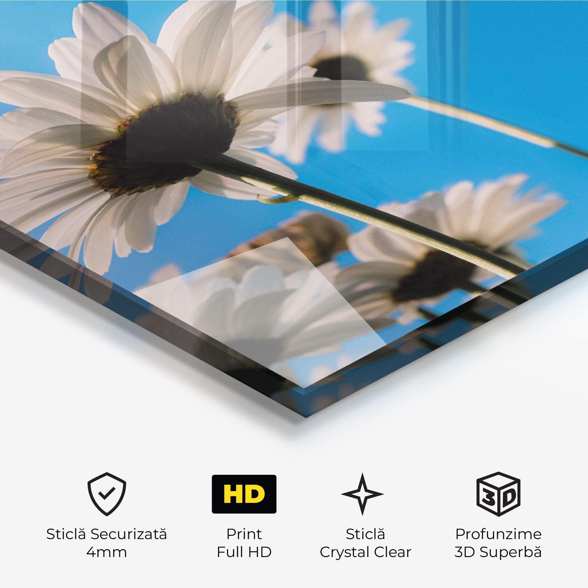 Tablou Sticla Blue Sky Daisy mockup 3