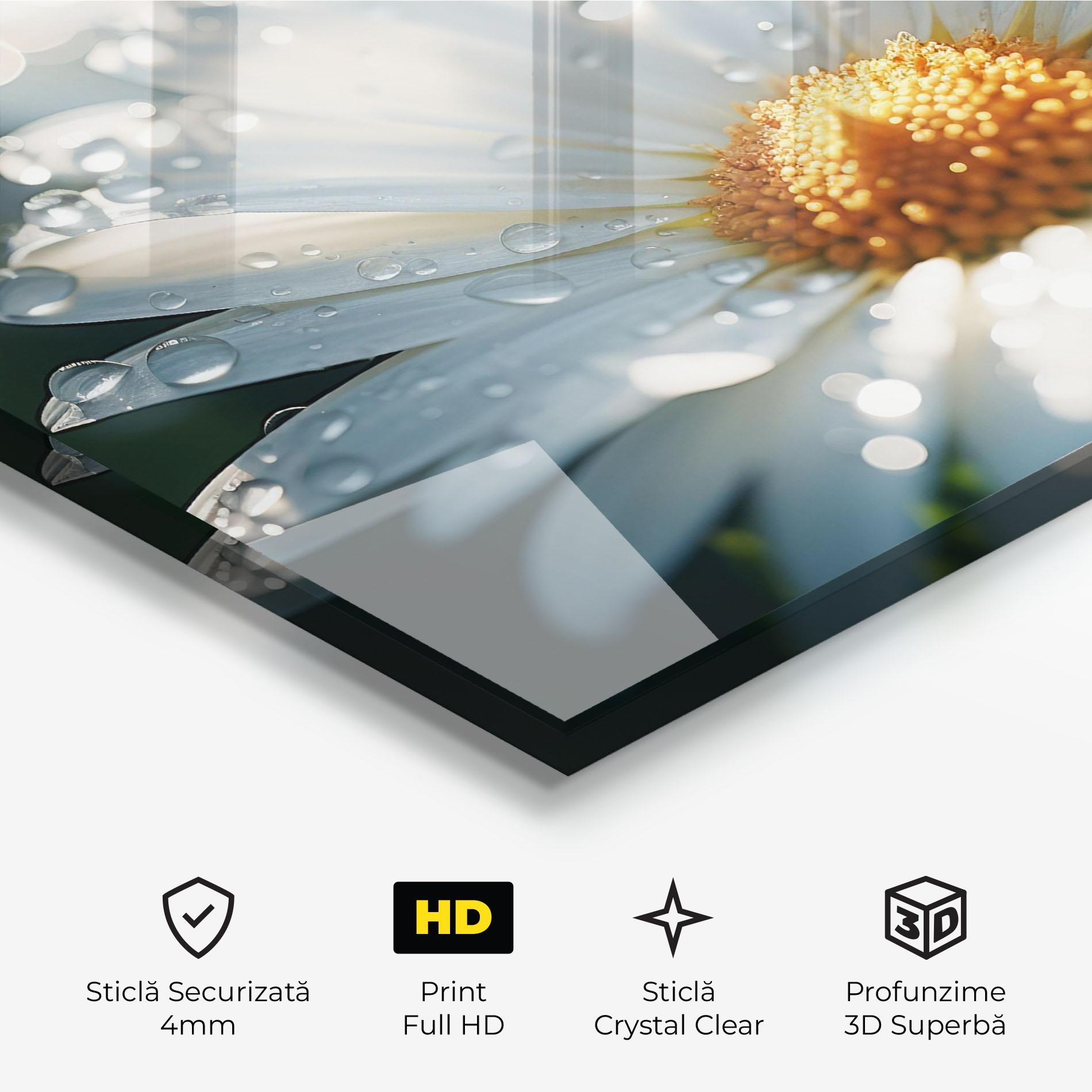 Tablou Sticla Daisy After Rain Close Up mockup 3
