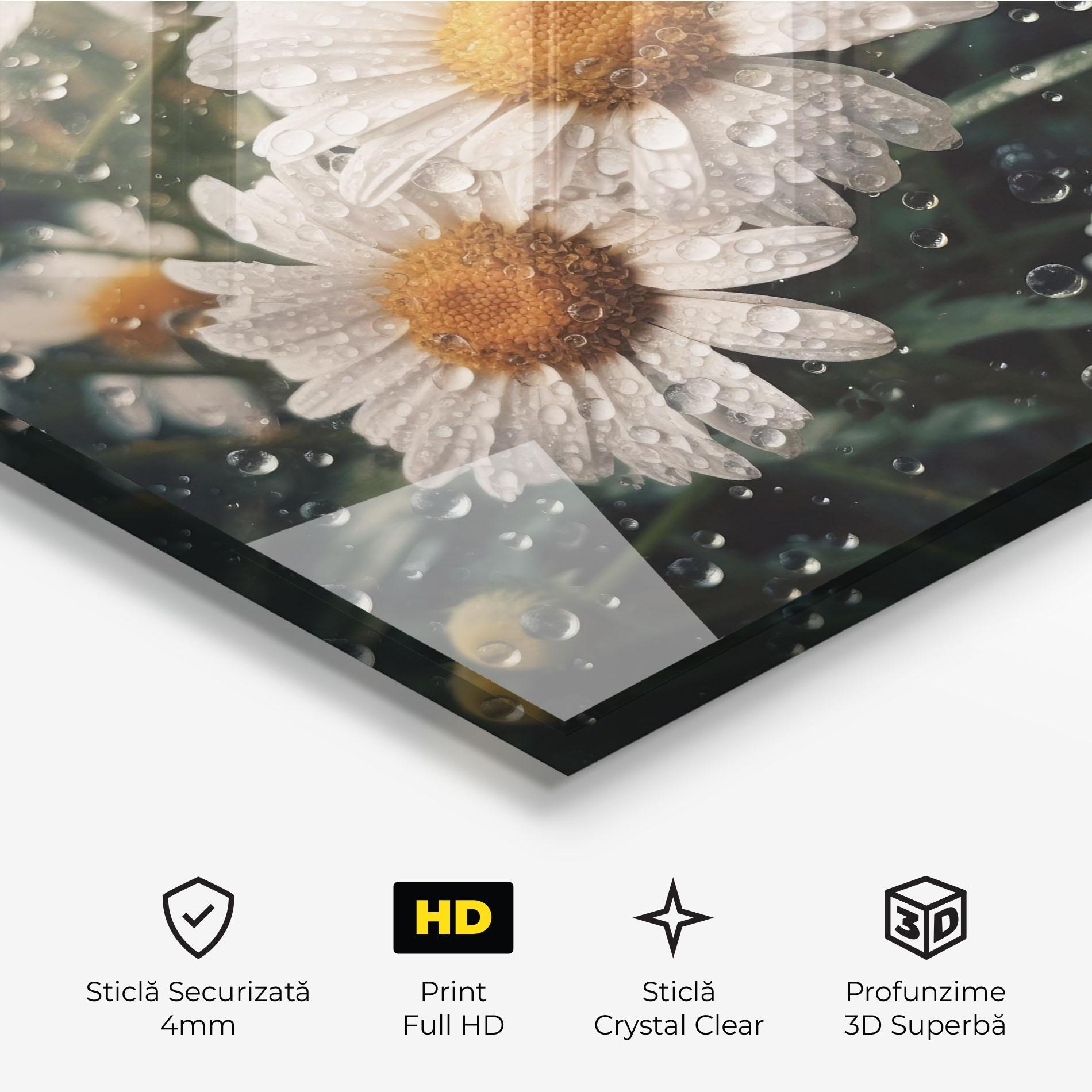 Tablou Sticla Daisy View After Rain mockup 3