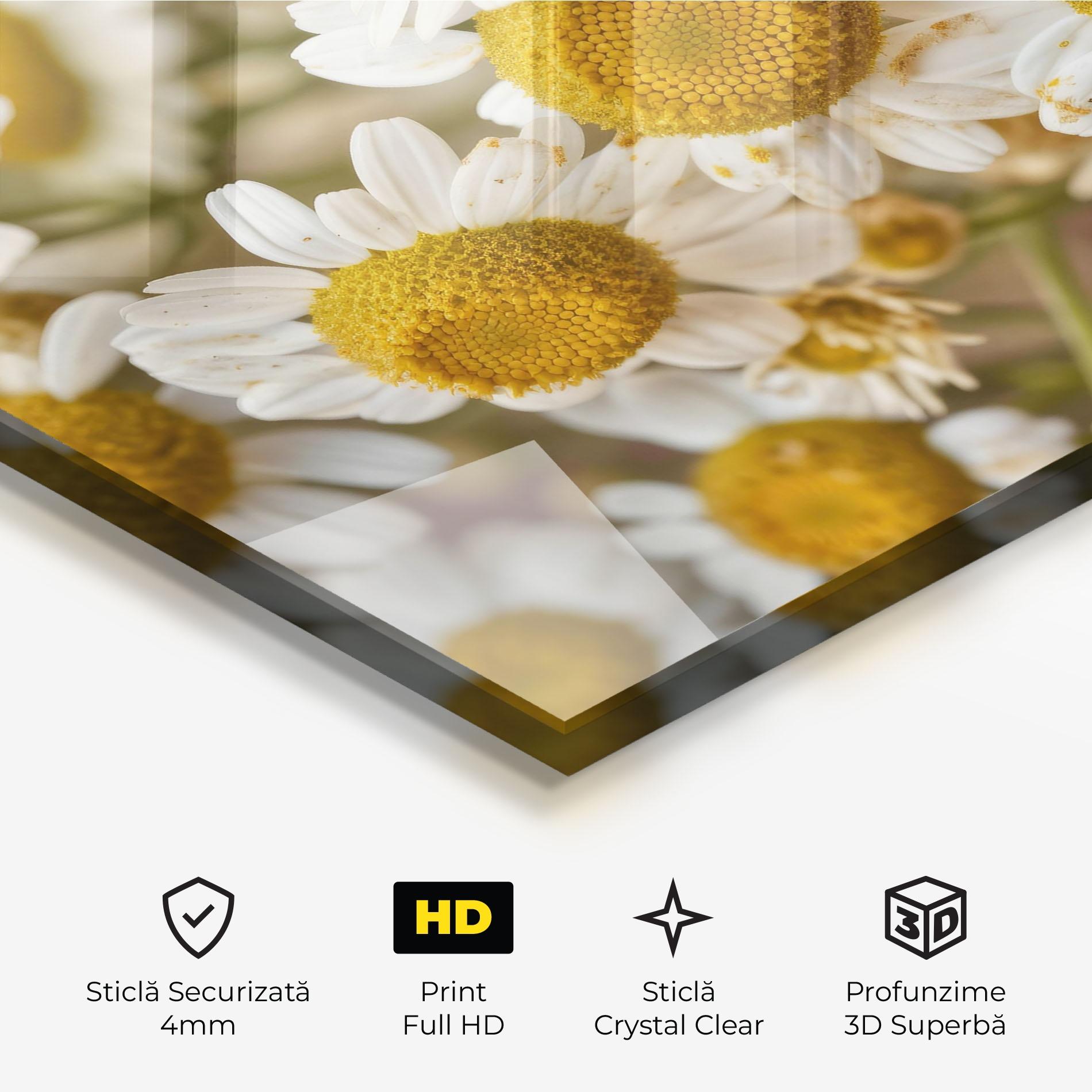 Tablou Sticla Daisy Wall mockup 3