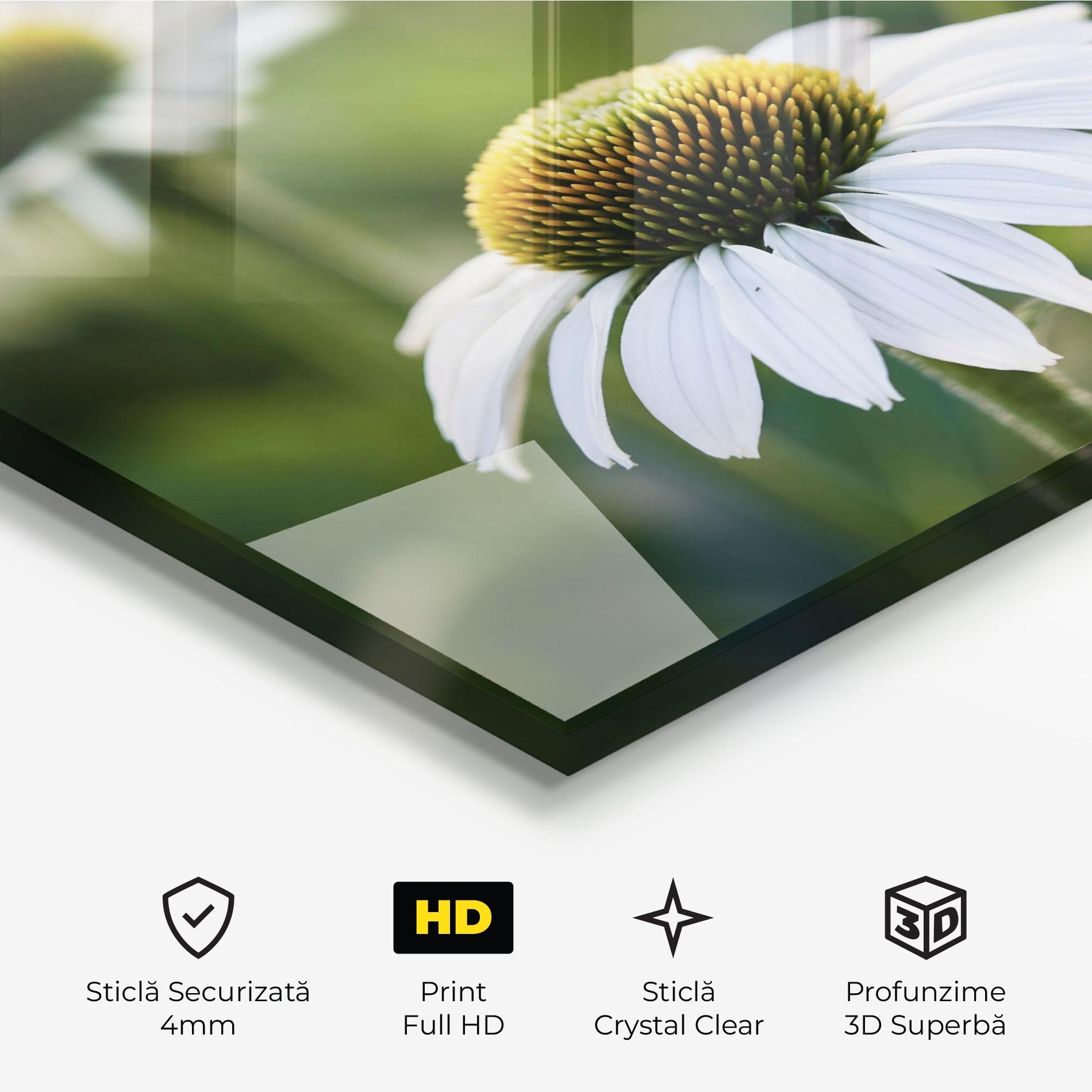 Tablou Sticla Small Green Daisy mockup 3