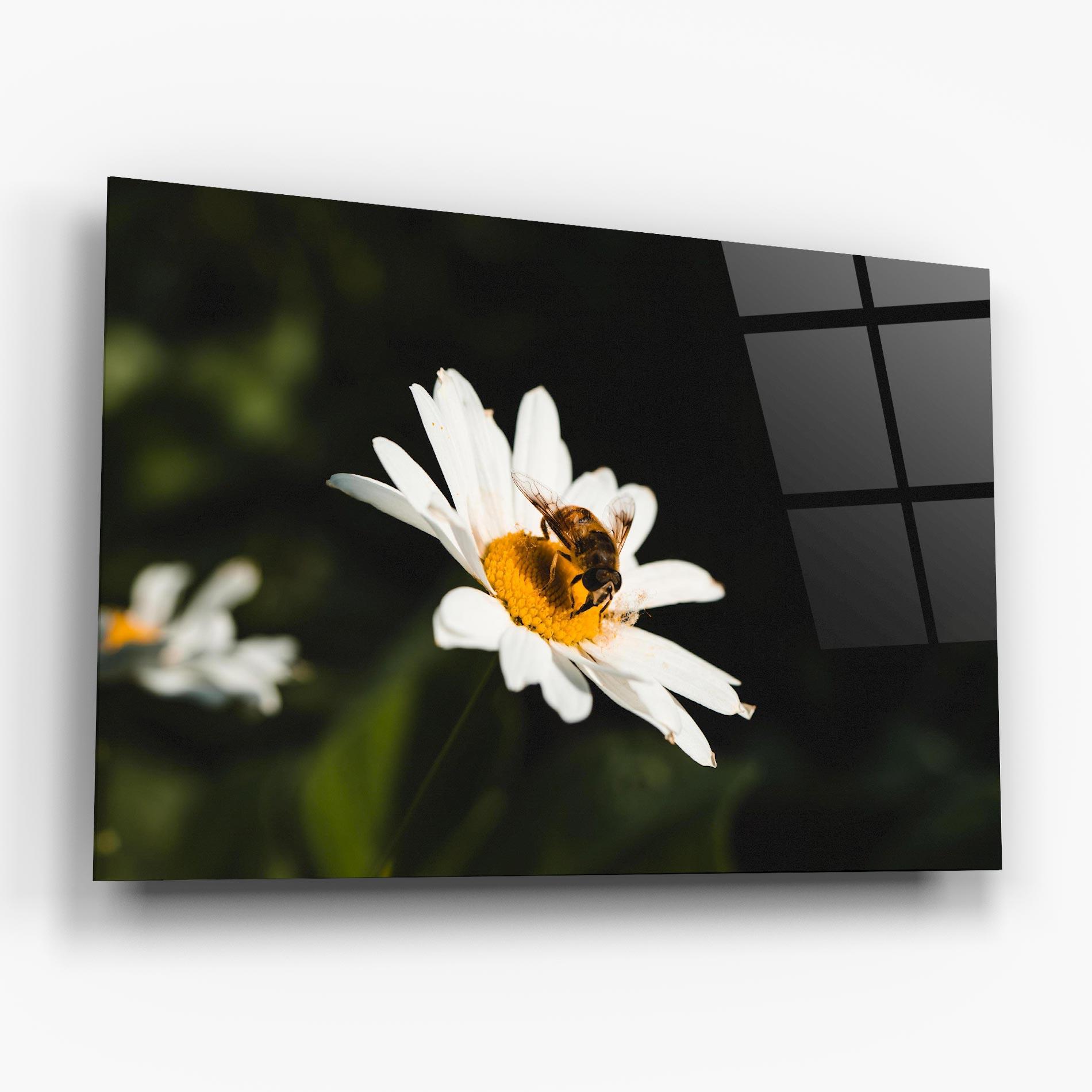 Tablou Sticla Bee Flying On Daisy mockup 6