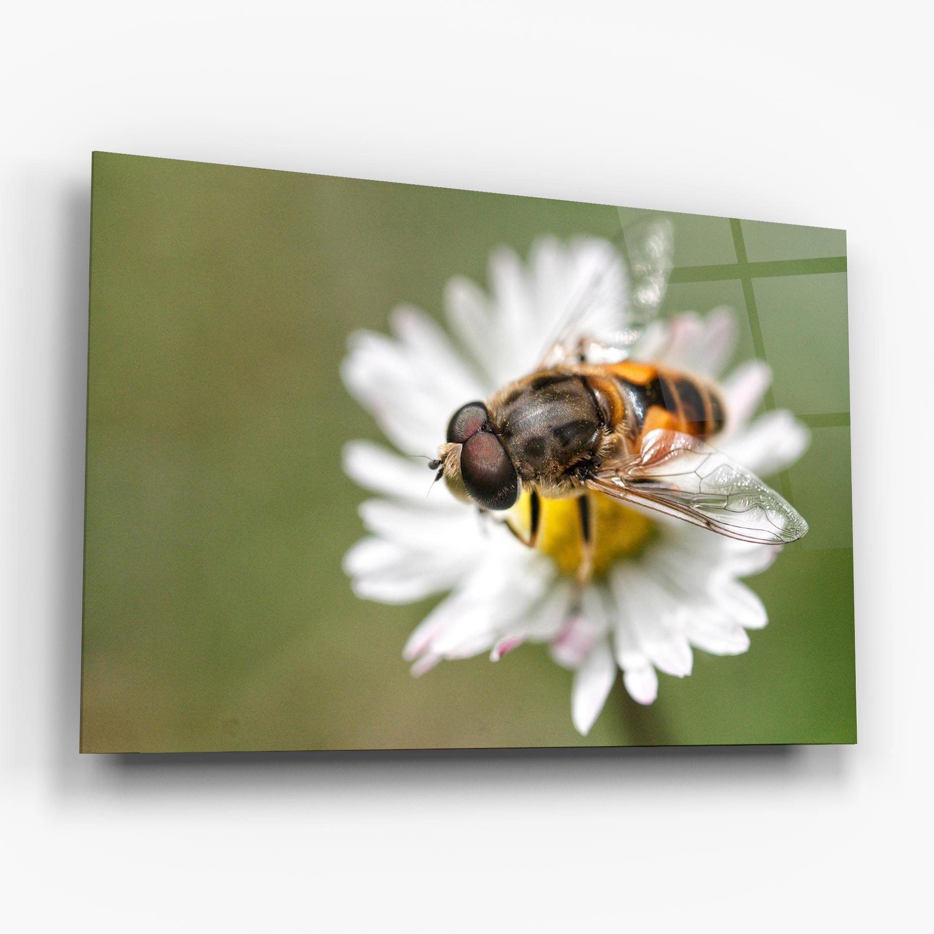 Tablou Sticla Bee On Small Daisy mockup 6
