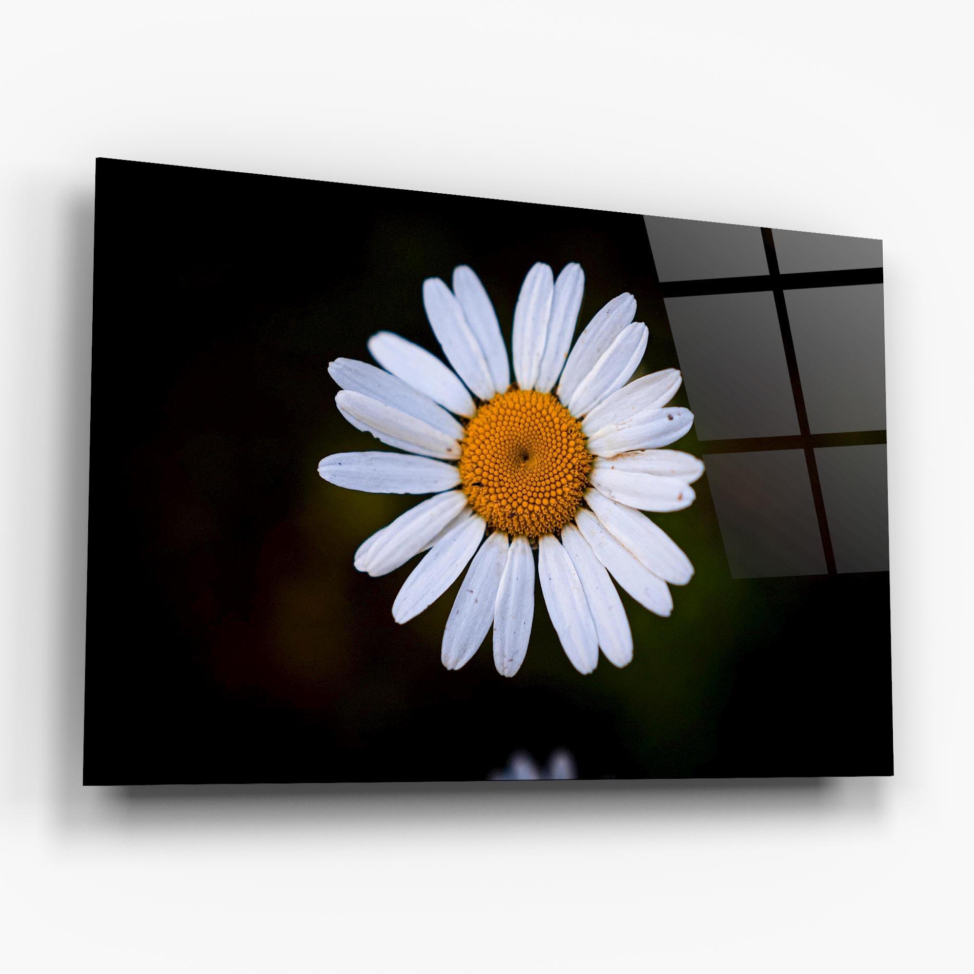 Tablou Sticla Big Yellow Center Daisy mockup 6