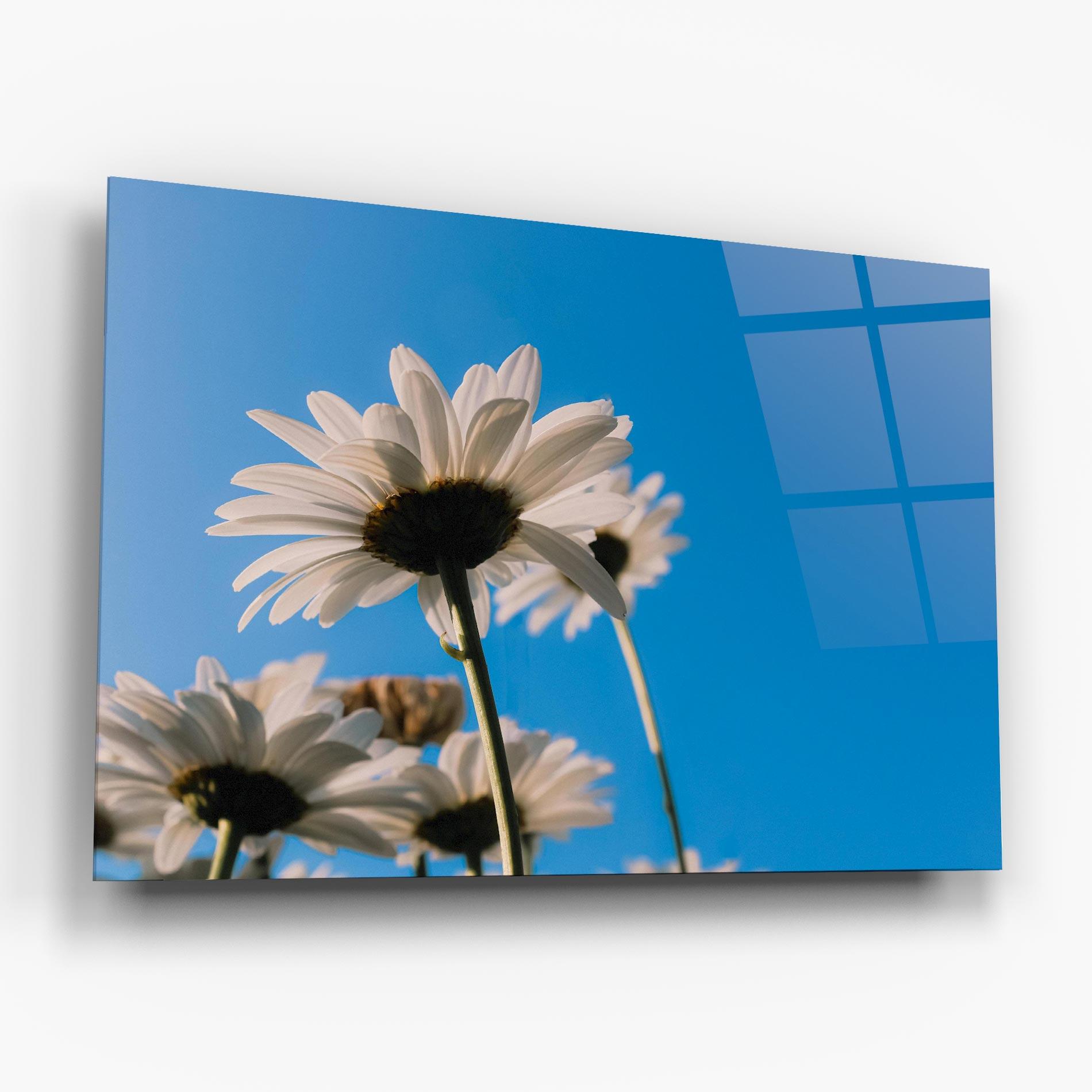 Tablou Sticla Blue Sky Daisy mockup 6