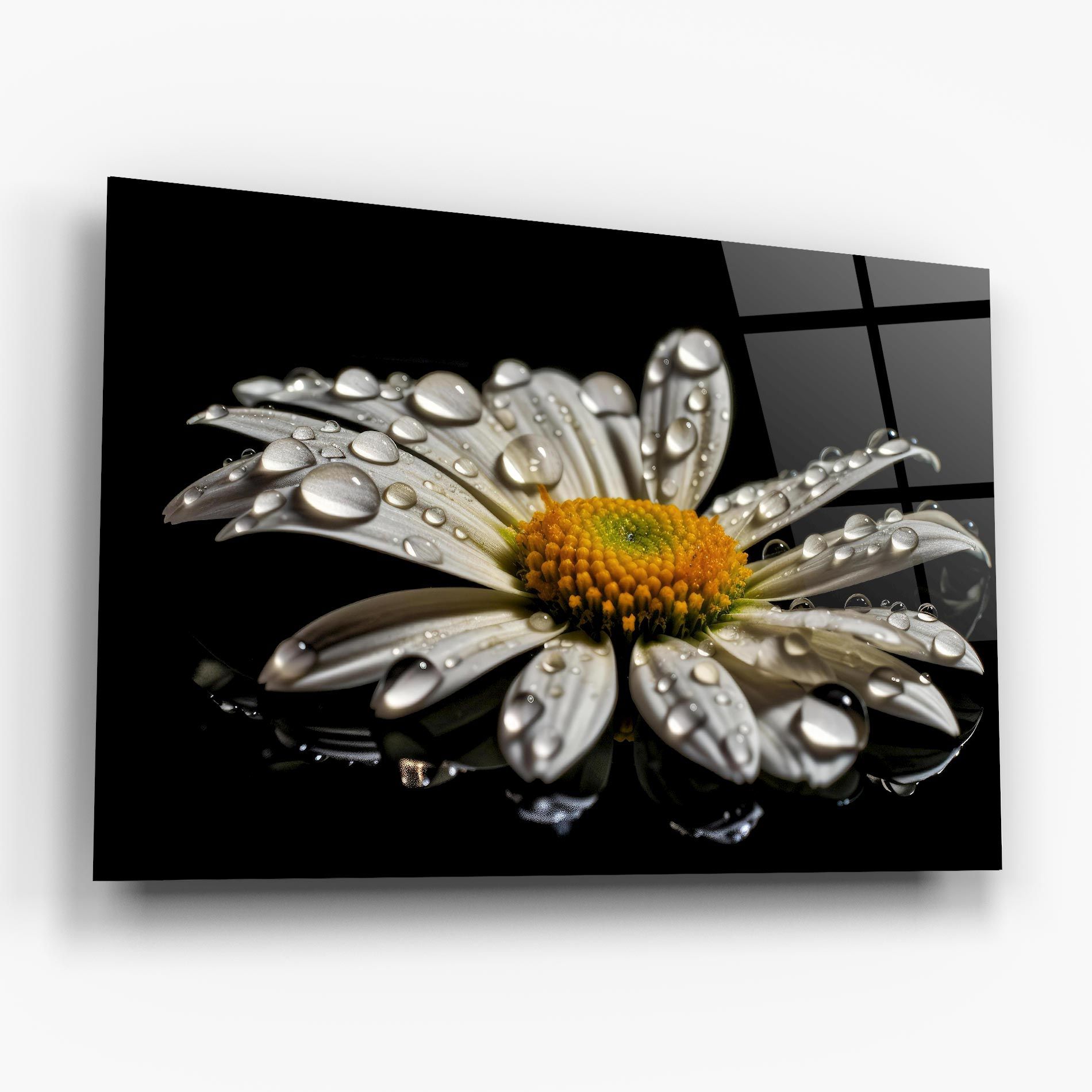 Daisy After The Rain mockup 6